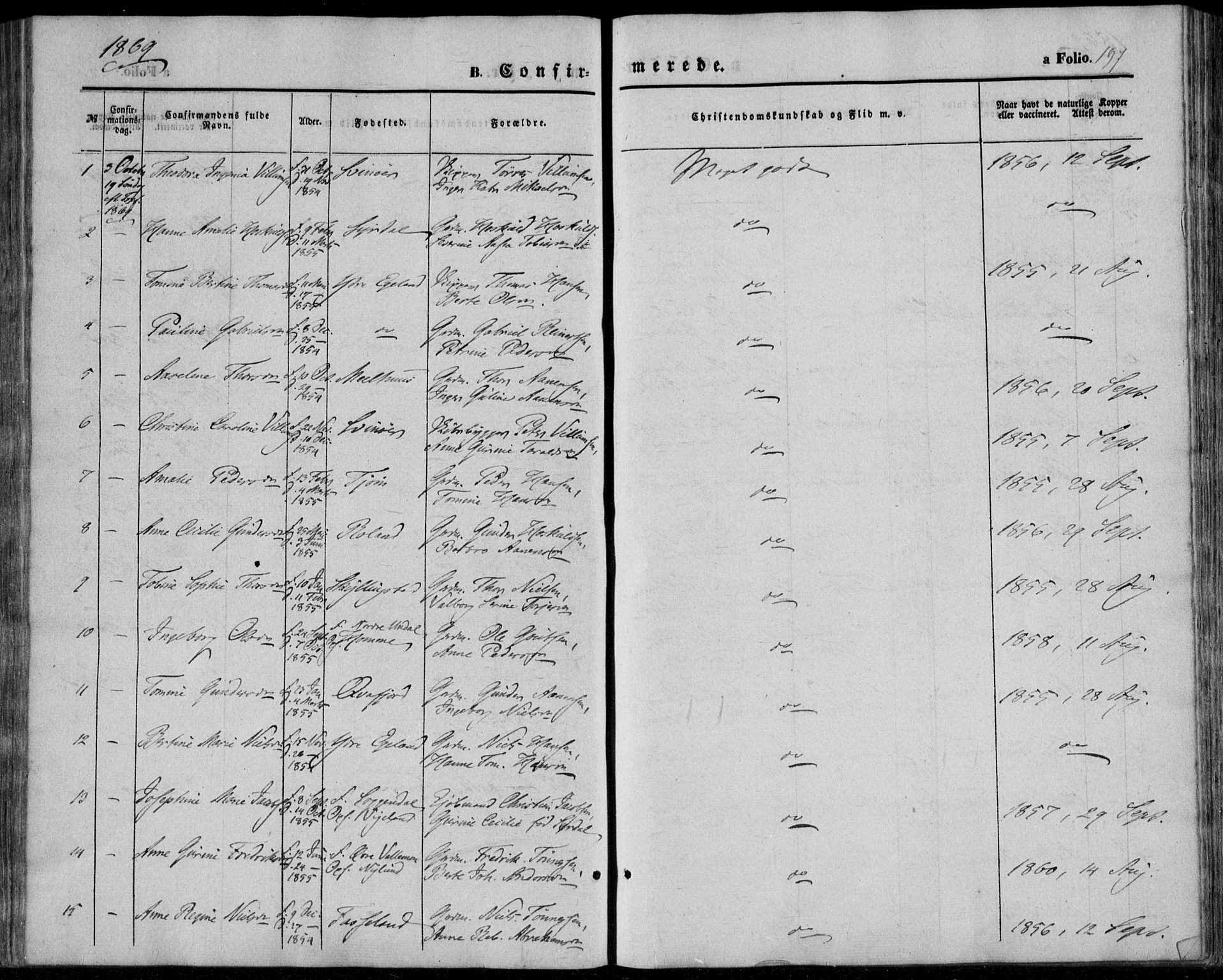 Sør-Audnedal sokneprestkontor, AV/SAK-1111-0039/F/Fa/Fab/L0007: Parish register (official) no. A 7, 1855-1876, p. 197