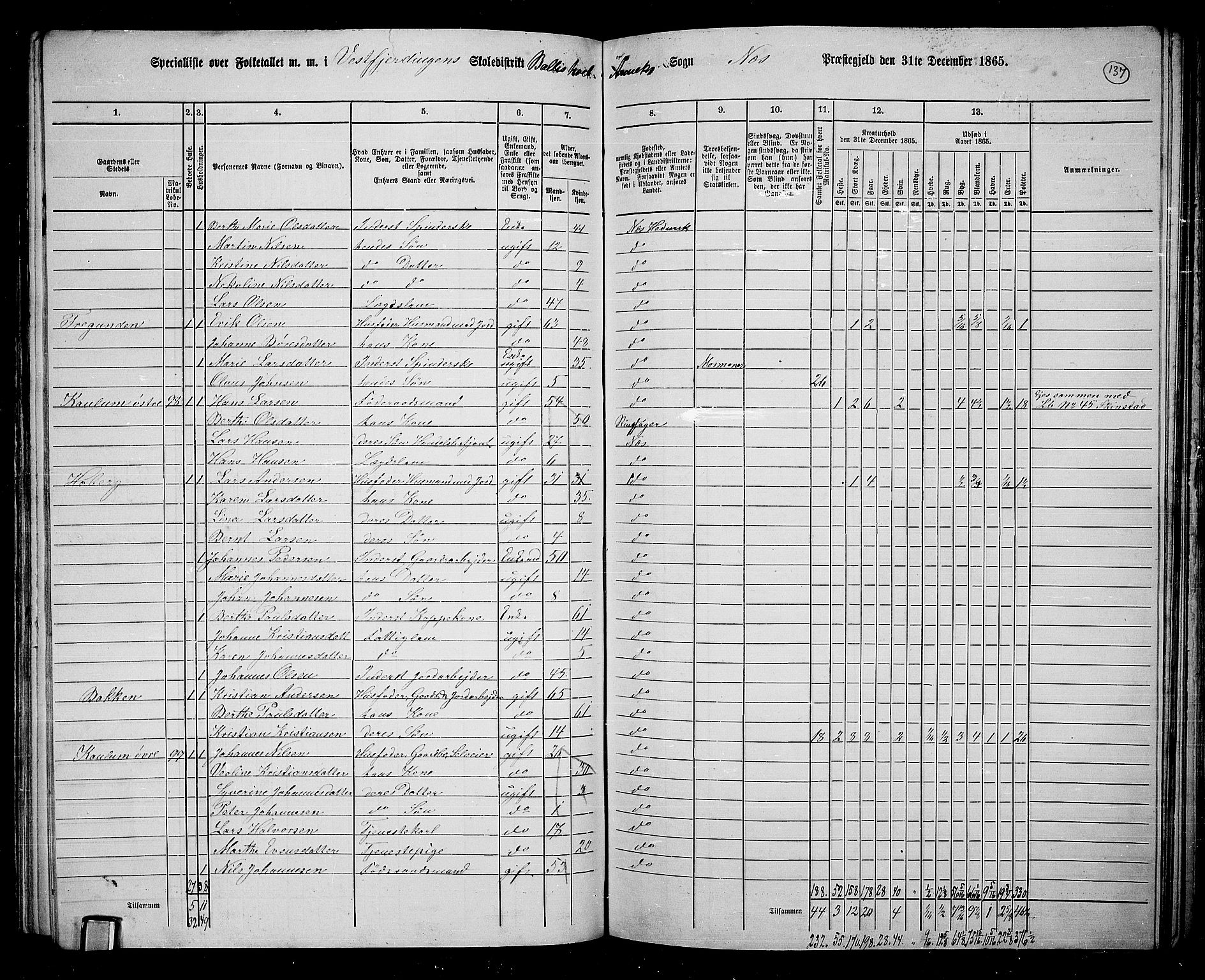 RA, 1865 census for Nes, 1865, p. 117