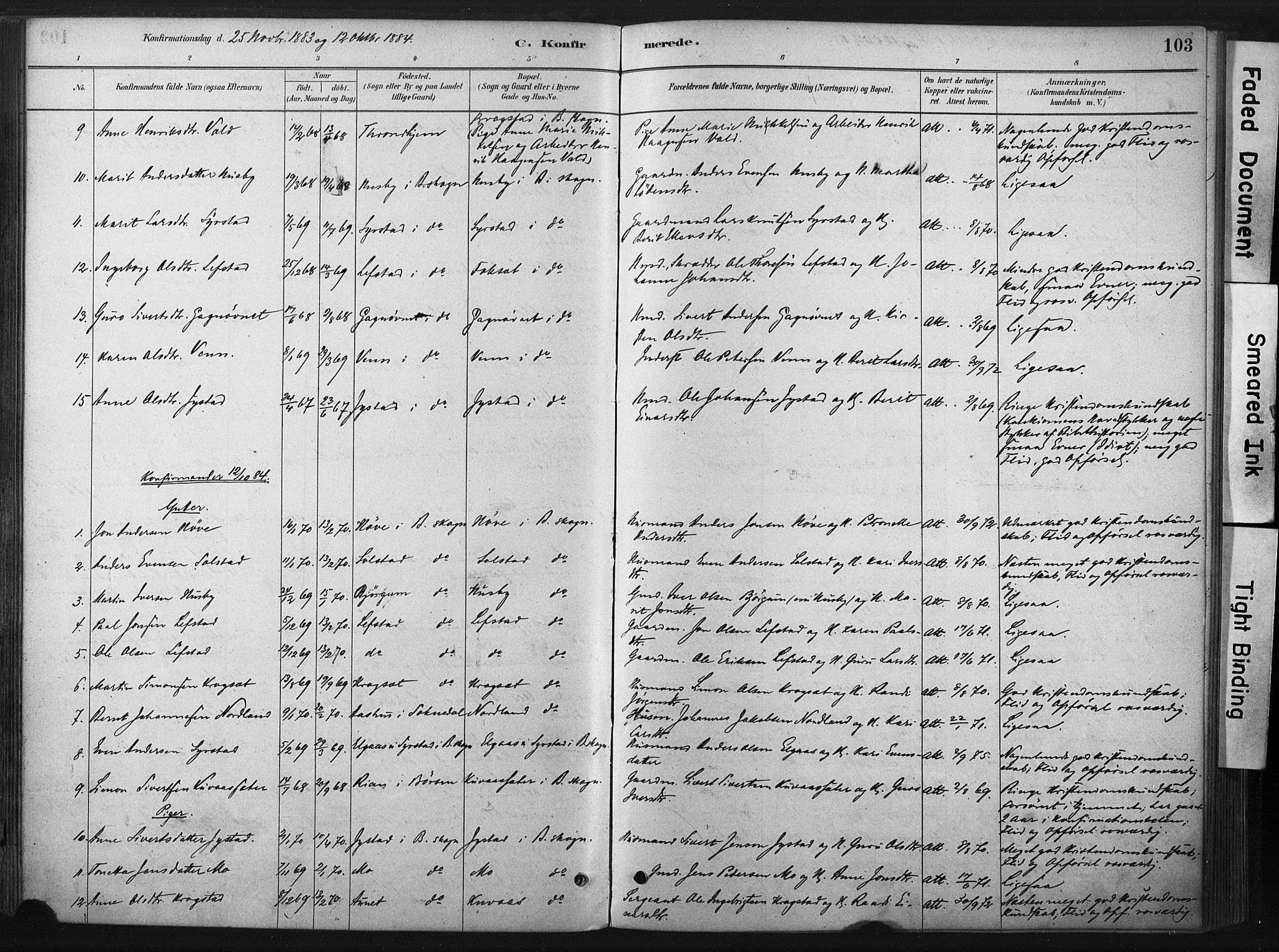 Ministerialprotokoller, klokkerbøker og fødselsregistre - Sør-Trøndelag, SAT/A-1456/667/L0795: Parish register (official) no. 667A03, 1879-1907, p. 103