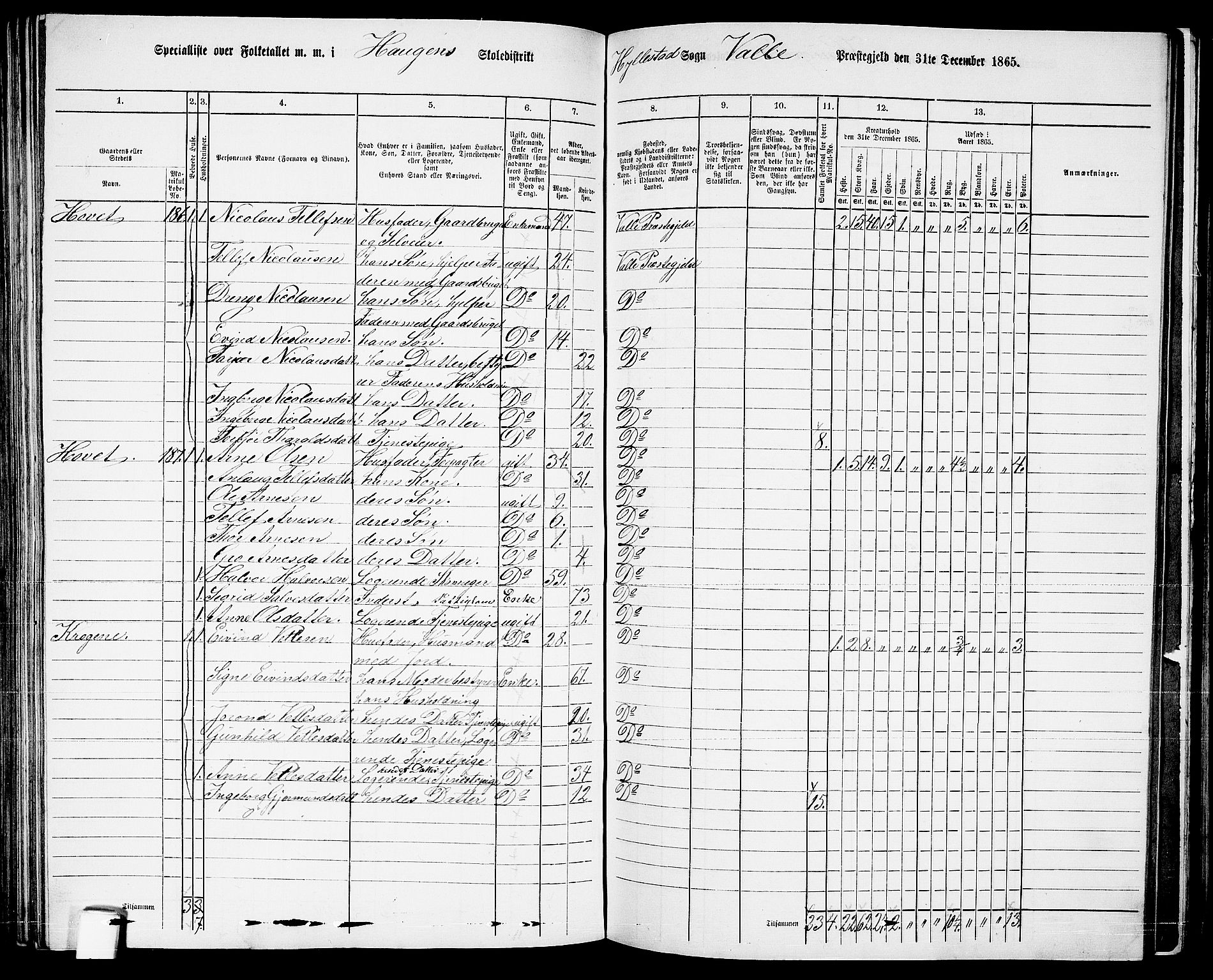 RA, 1865 census for Valle, 1865, p. 114