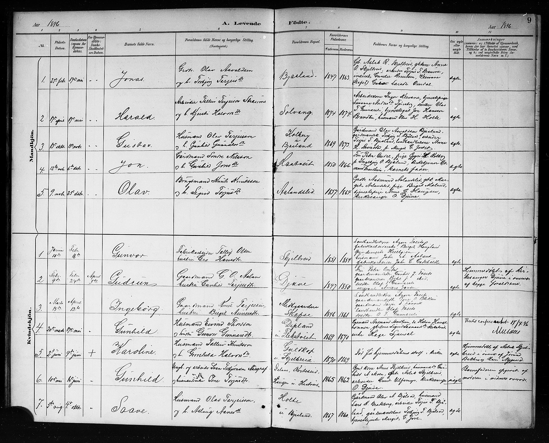 Lårdal kirkebøker, SAKO/A-284/G/Ga/L0003: Parish register (copy) no. I 3, 1891-1918, p. 9