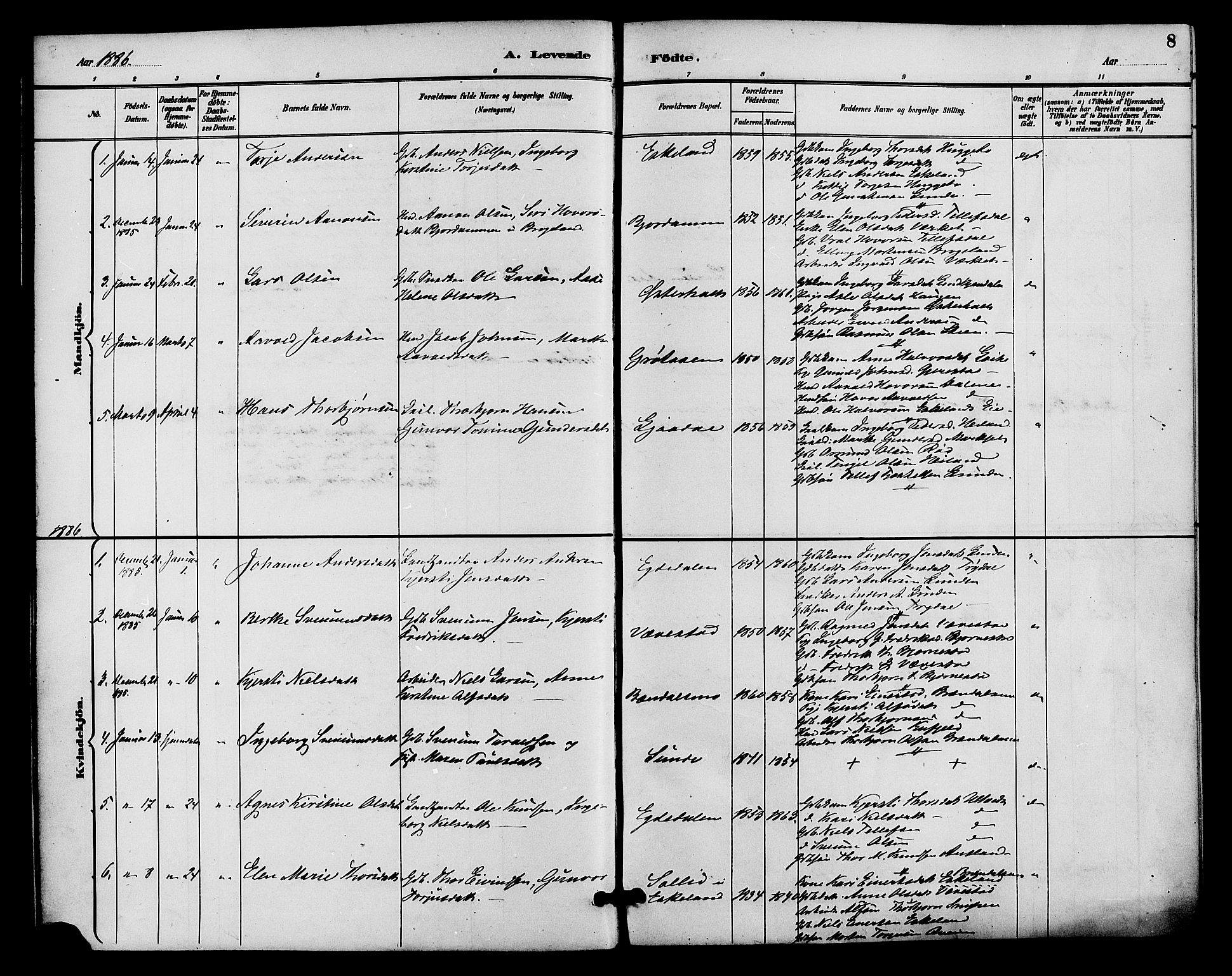 Gjerstad sokneprestkontor, AV/SAK-1111-0014/F/Fa/Faa/L0009: Parish register (official) no. A 9, 1885-1890, p. 8