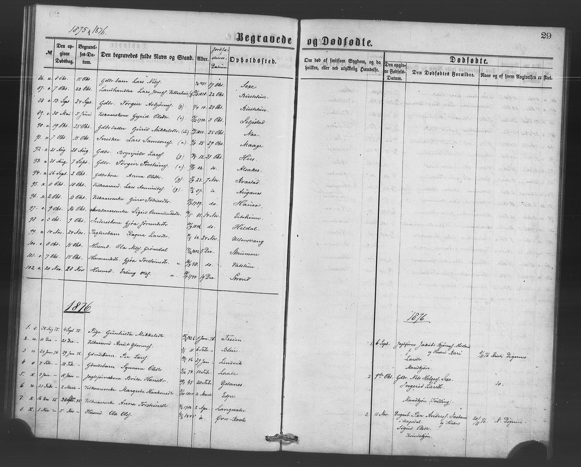 Ullensvang sokneprestembete, SAB/A-78701/H/Haa: Parish register (official) no. A 15, 1867-1882, p. 29