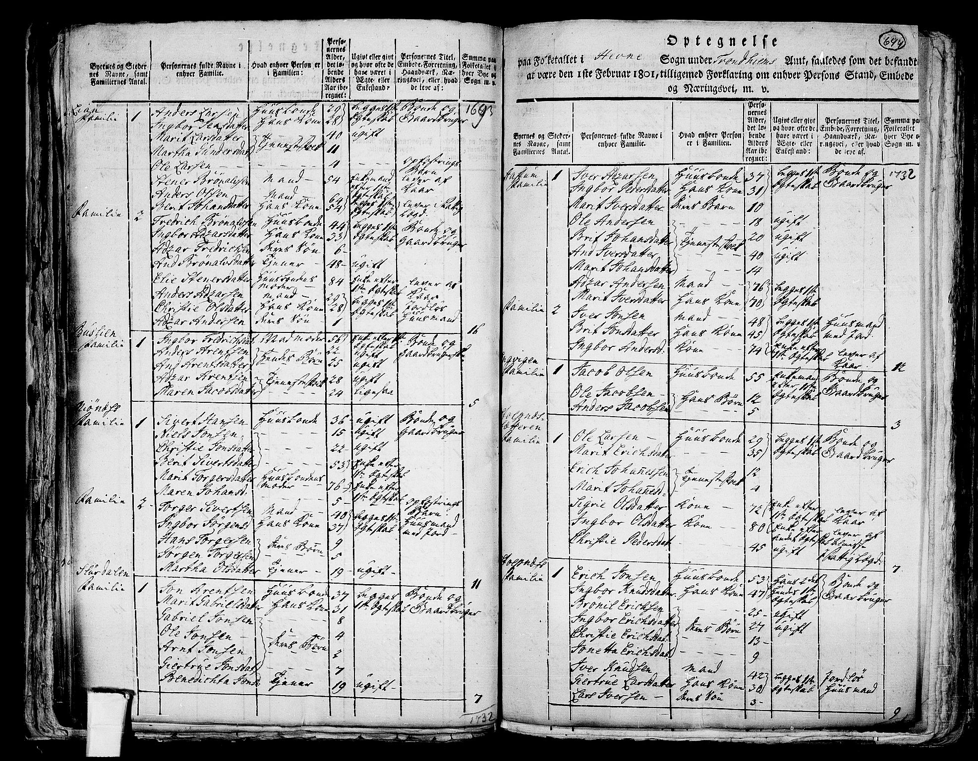 RA, 1801 census for 1612P Hemne, 1801, p. 643b-644a