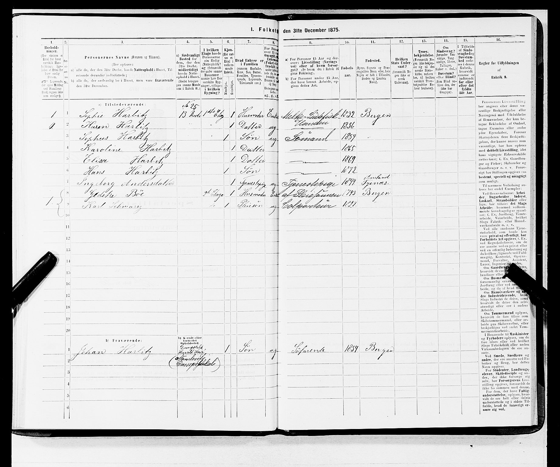 SAB, 1875 census for 1301 Bergen, 1875, p. 3163