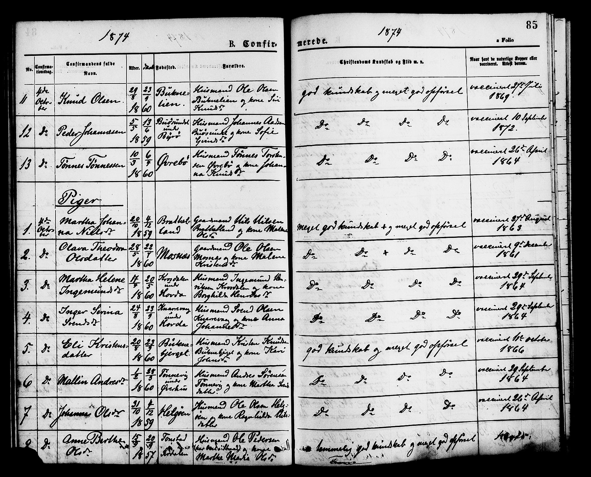 Hjelmeland sokneprestkontor, SAST/A-101843/01/IV/L0013: Parish register (official) no. A 13, 1872-1886, p. 85