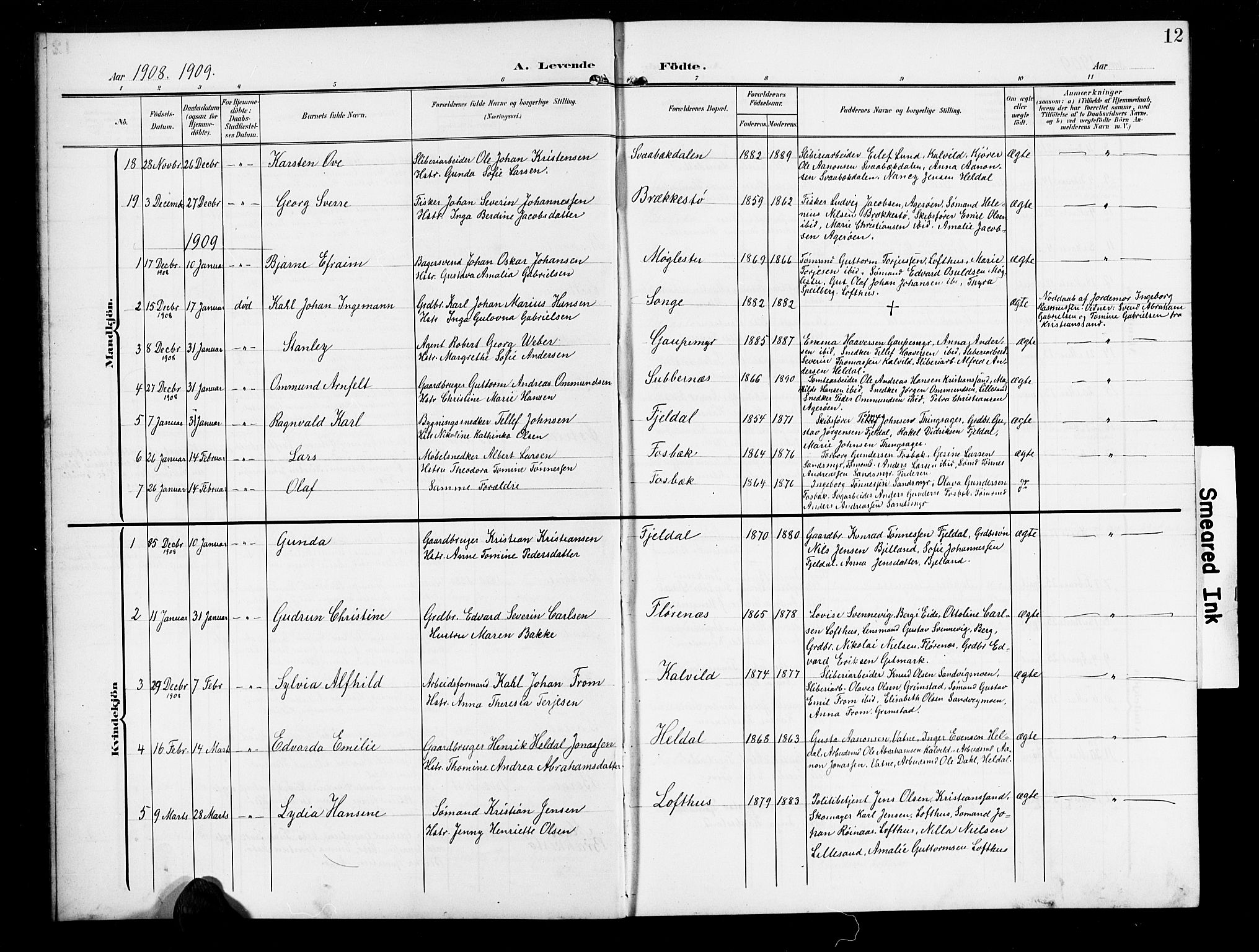 Vestre Moland sokneprestkontor, AV/SAK-1111-0046/F/Fb/Fbb/L0007: Parish register (copy) no. B 7, 1906-1929, p. 12