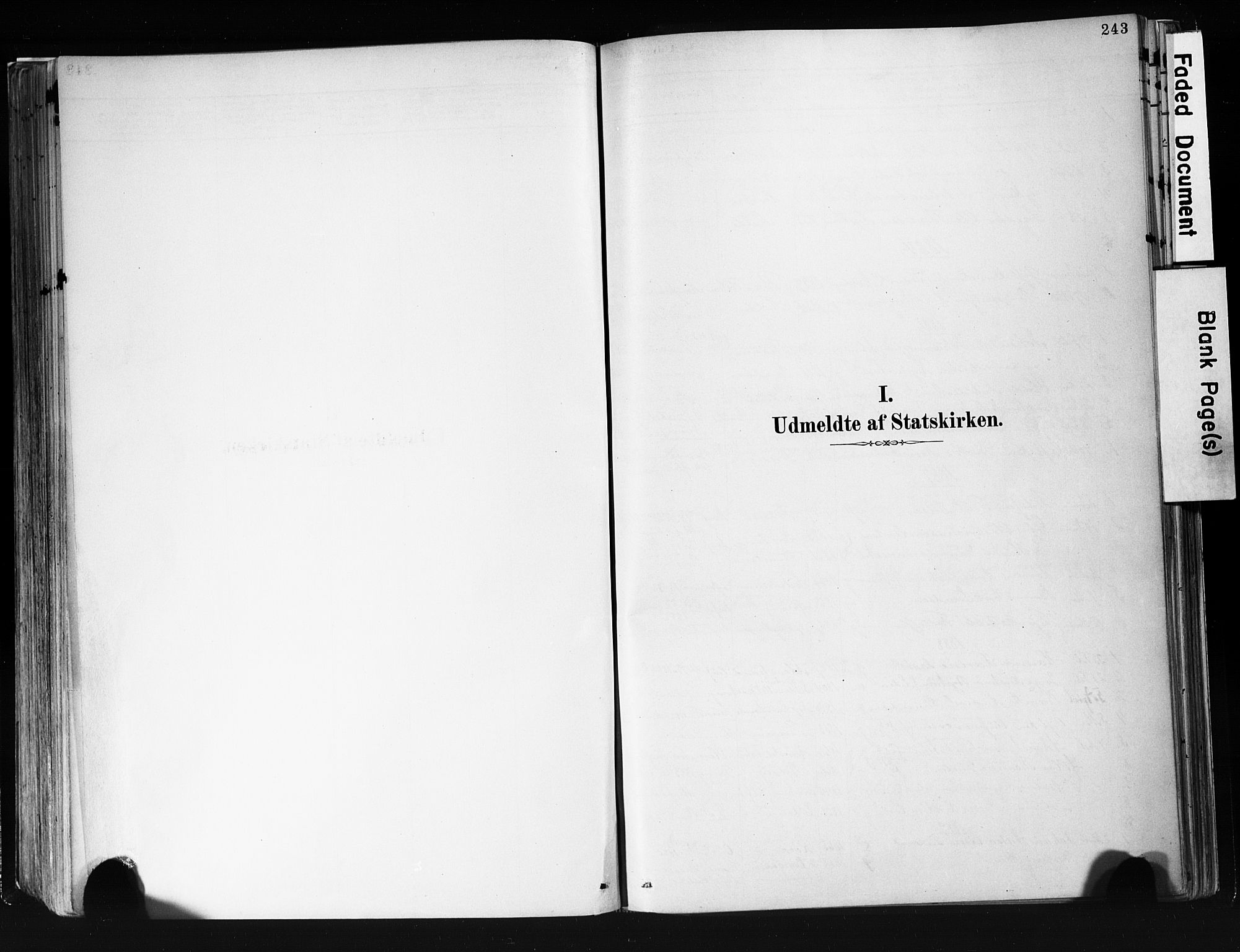 Eidanger kirkebøker, SAKO/A-261/F/Fa/L0012: Parish register (official) no. 12, 1879-1900, p. 243