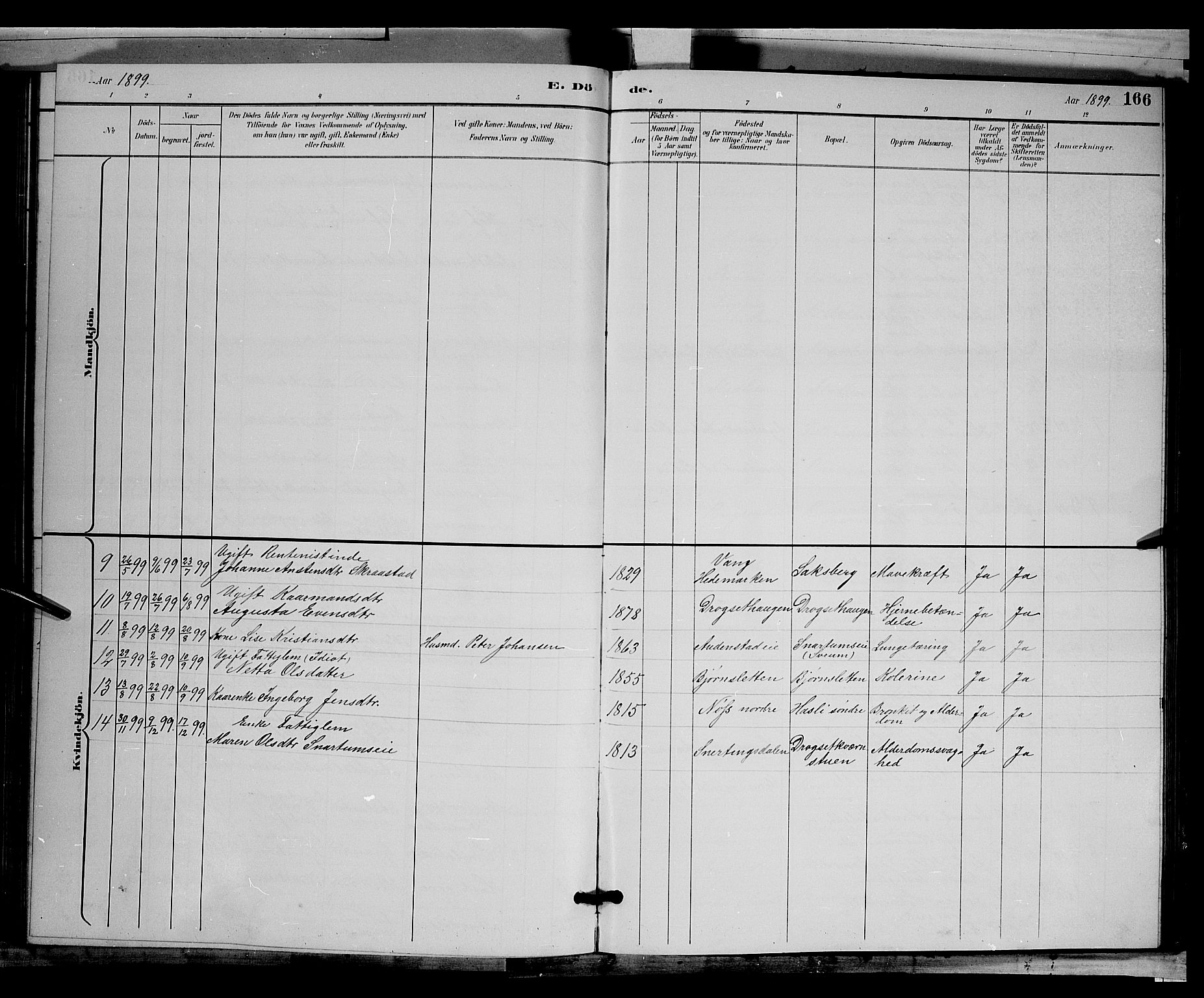 Biri prestekontor, SAH/PREST-096/H/Ha/Hab/L0003: Parish register (copy) no. 3, 1892-1905, p. 166