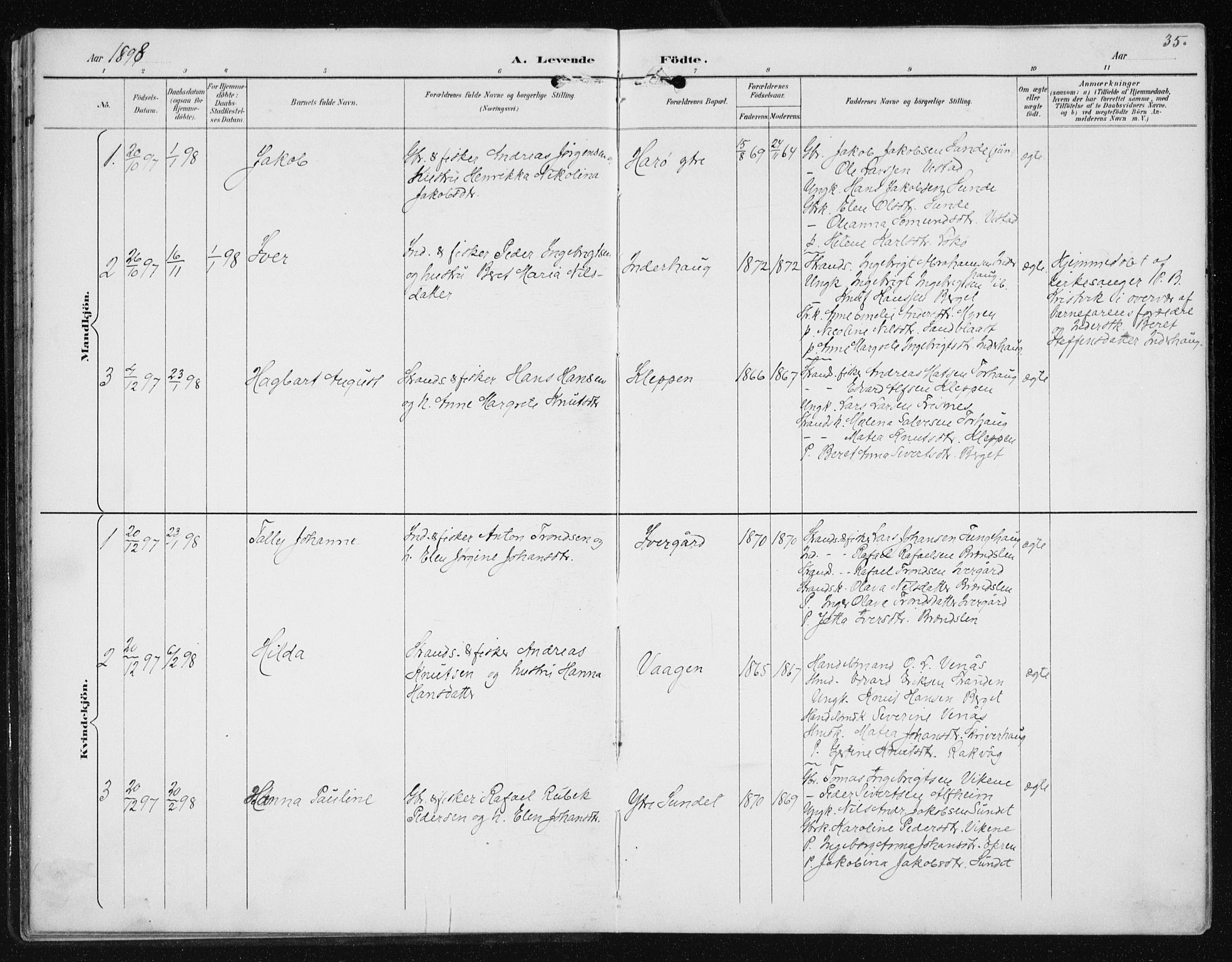 Ministerialprotokoller, klokkerbøker og fødselsregistre - Møre og Romsdal, AV/SAT-A-1454/566/L0773: Parish register (copy) no. 566C02, 1892-1909, p. 35