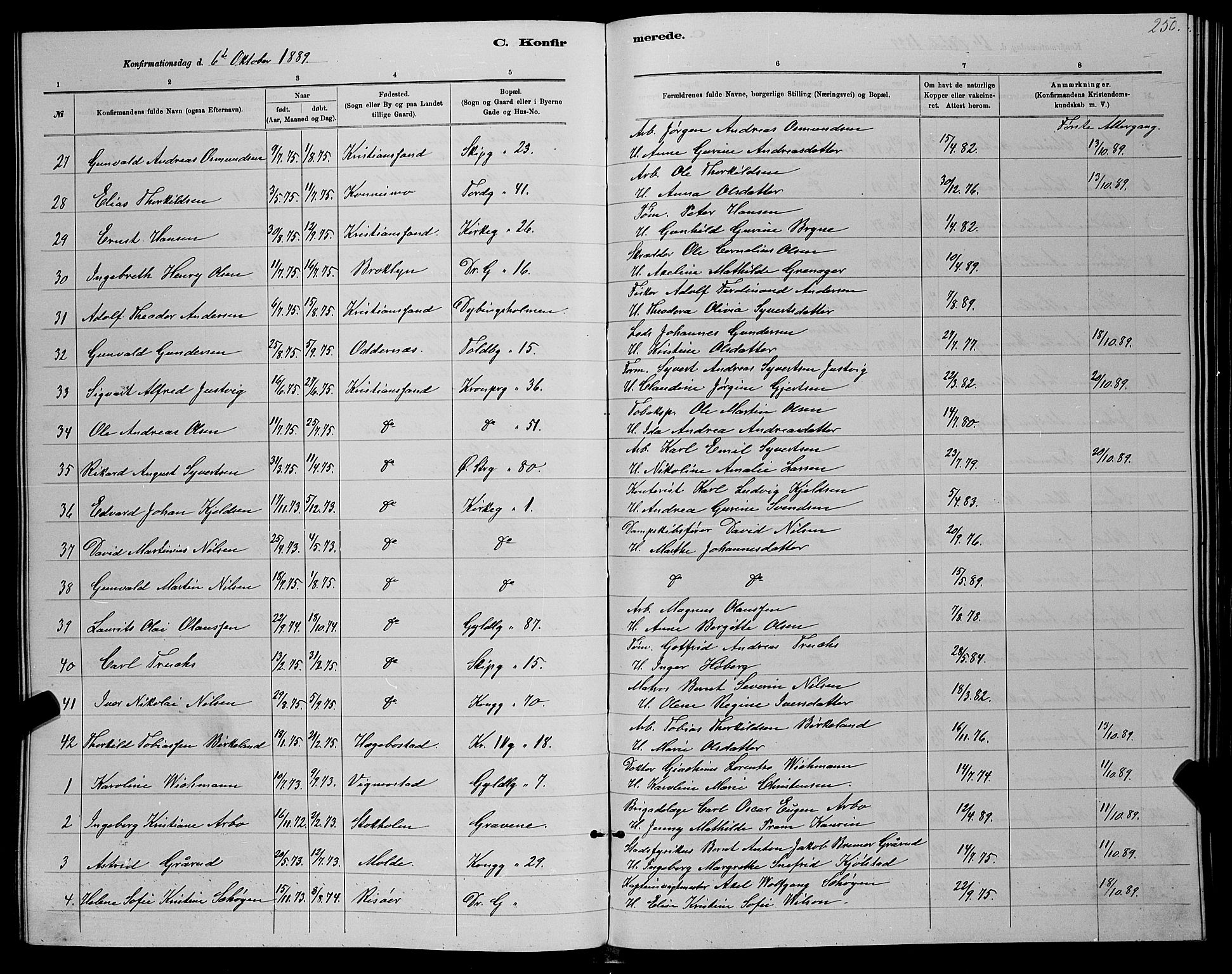 Kristiansand domprosti, AV/SAK-1112-0006/F/Fb/L0016: Parish register (copy) no. B 16, 1881-1893, p. 250