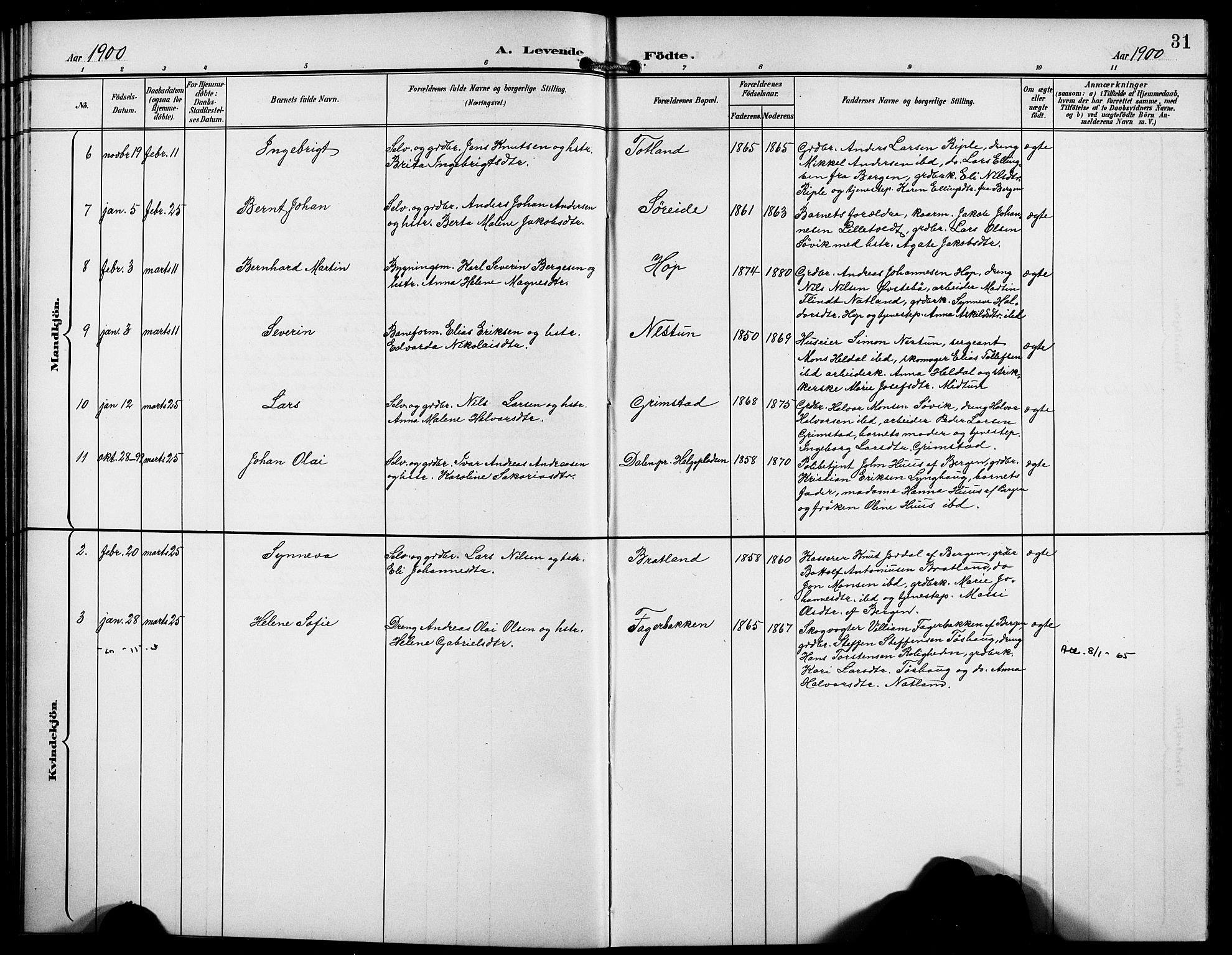 Birkeland Sokneprestembete, SAB/A-74601/H/Hab: Parish register (copy) no. A 5, 1897-1905, p. 31
