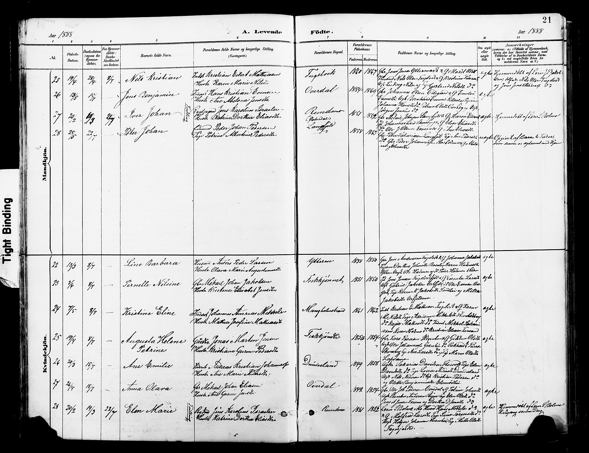 Ministerialprotokoller, klokkerbøker og fødselsregistre - Nordland, AV/SAT-A-1459/827/L0421: Parish register (copy) no. 827C10, 1887-1906, p. 21