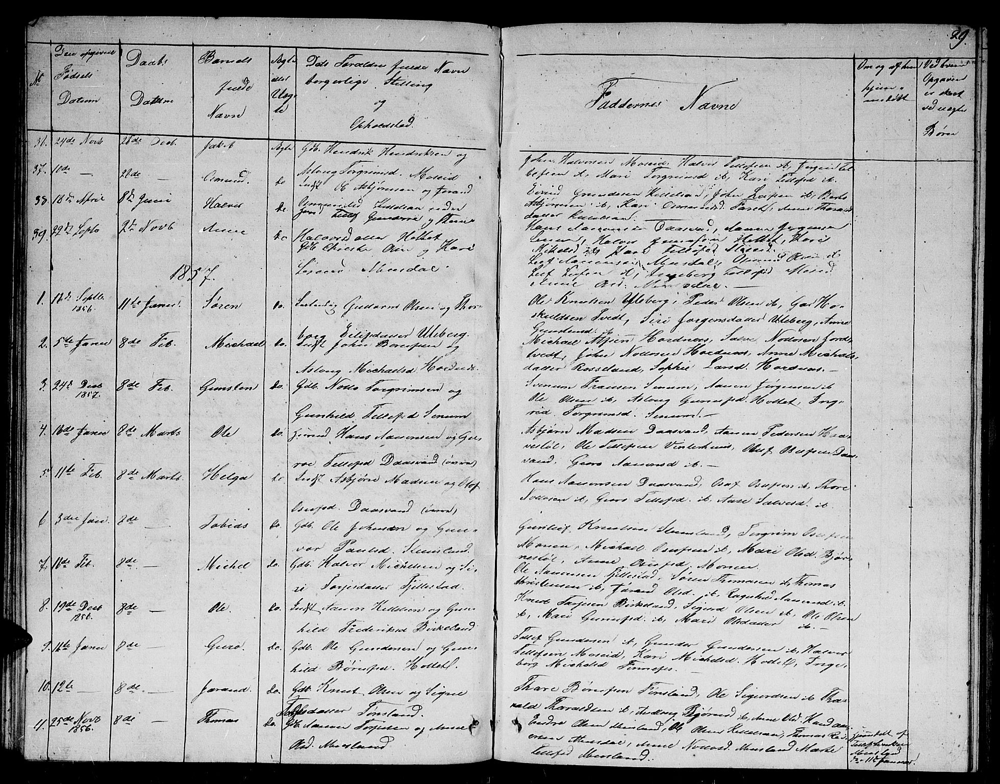 Evje sokneprestkontor, AV/SAK-1111-0008/F/Fb/Fbb/L0001: Parish register (copy) no. B 1, 1849-1878, p. 29