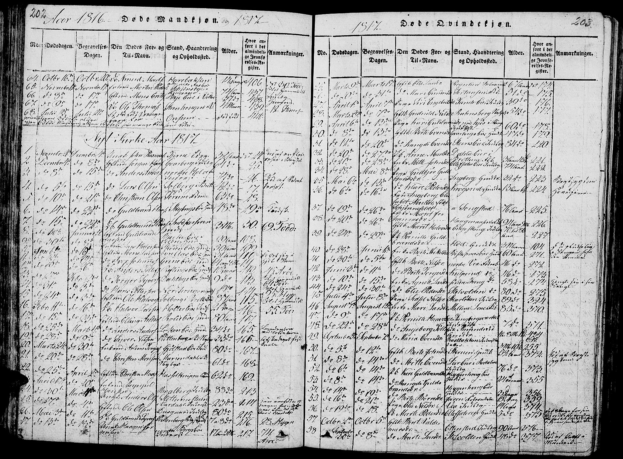 Ringsaker prestekontor, SAH/PREST-014/L/La/L0001: Parish register (copy) no. 1, 1814-1826, p. 202-203
