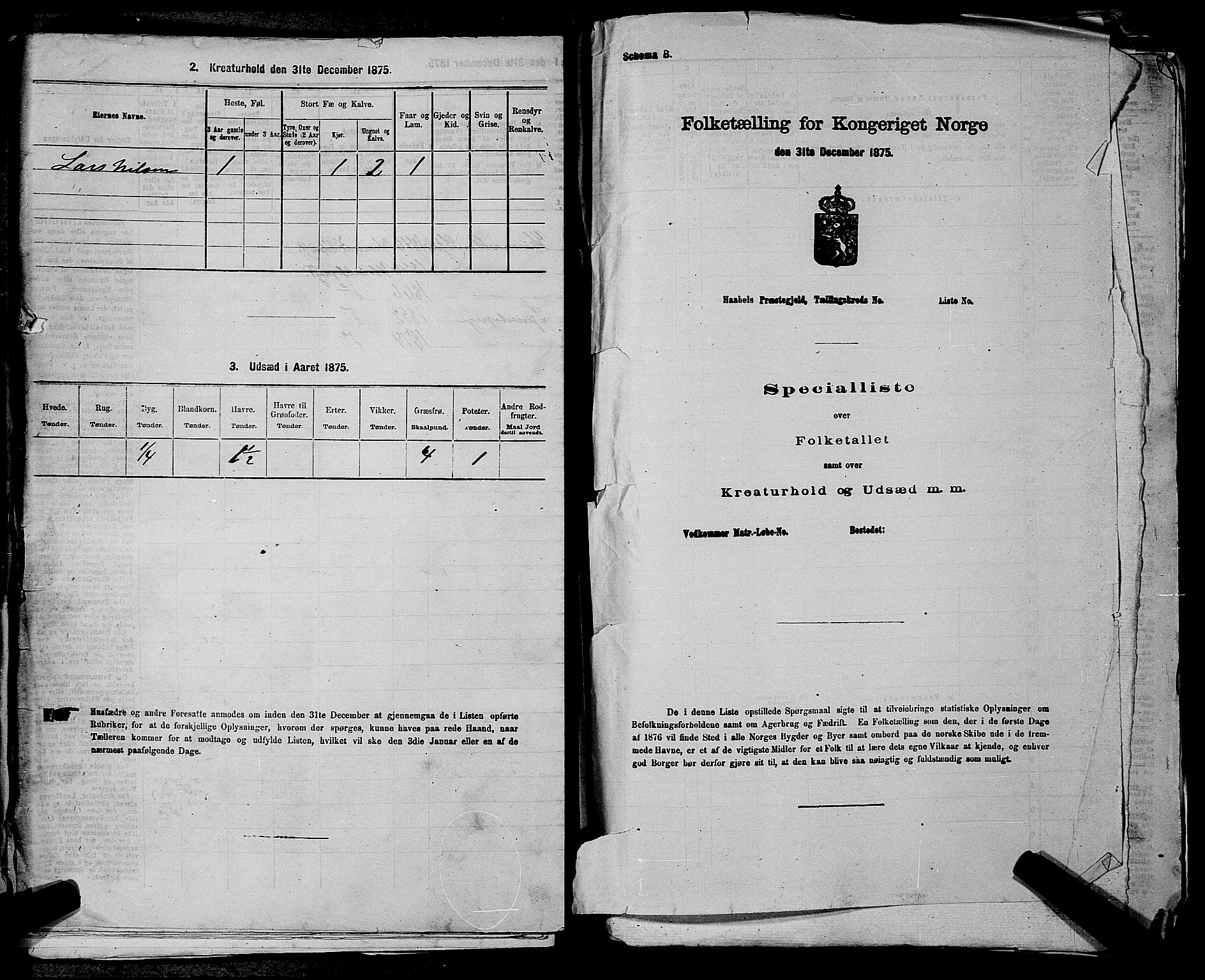 RA, 1875 census for 0227P Fet, 1875, p. 991