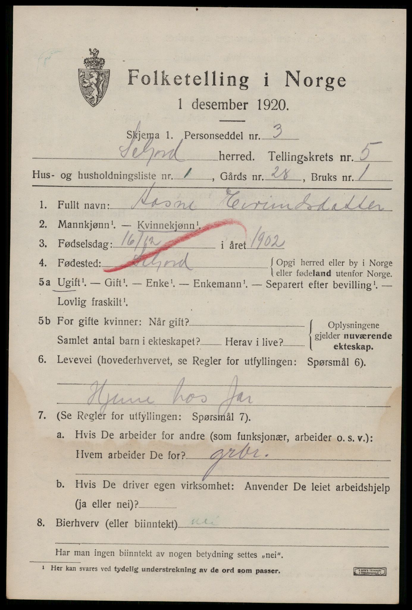 SAKO, 1920 census for Seljord, 1920, p. 2380