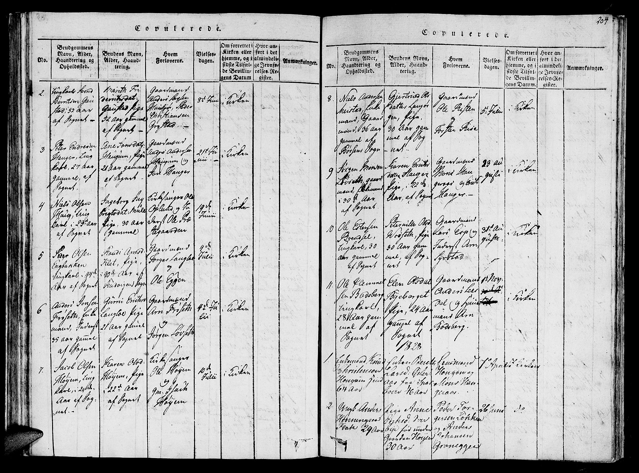 Ministerialprotokoller, klokkerbøker og fødselsregistre - Sør-Trøndelag, SAT/A-1456/612/L0372: Parish register (official) no. 612A06 /1, 1816-1828, p. 204