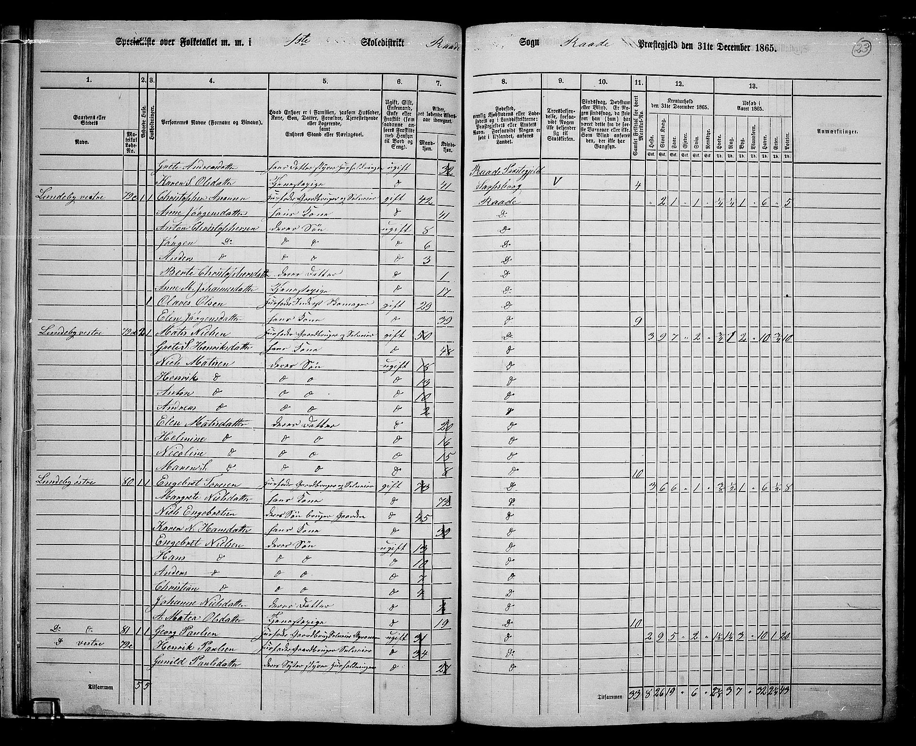 RA, 1865 census for Råde, 1865, p. 21