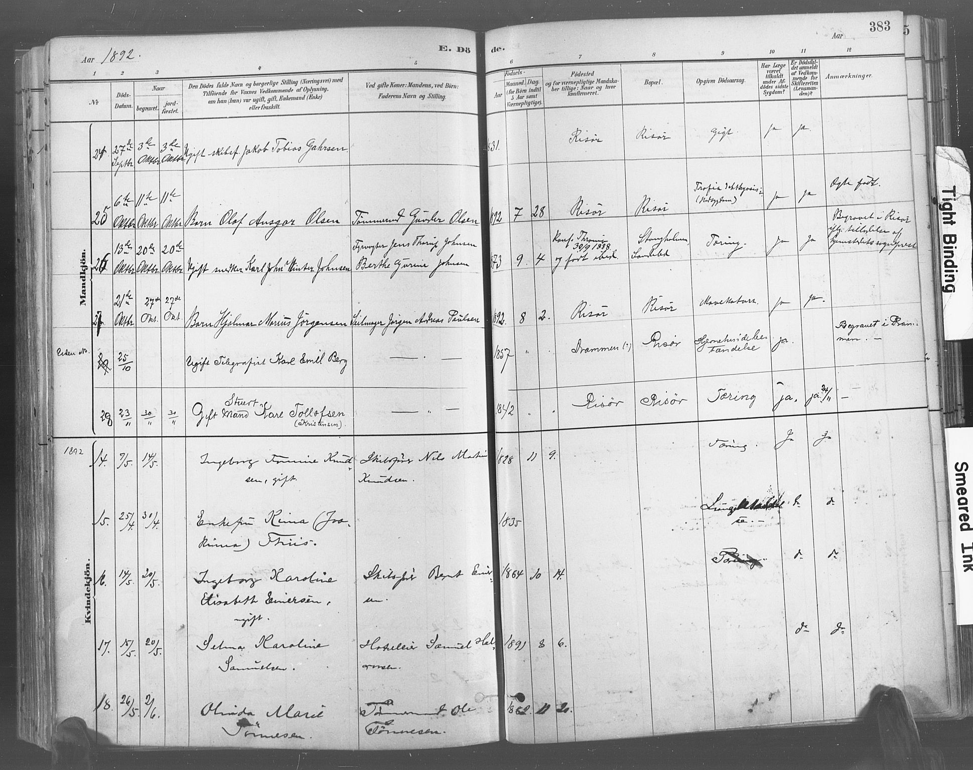 Risør sokneprestkontor, AV/SAK-1111-0035/F/Fa/L0005: Parish register (official) no. A 5, 1883-1895, p. 383