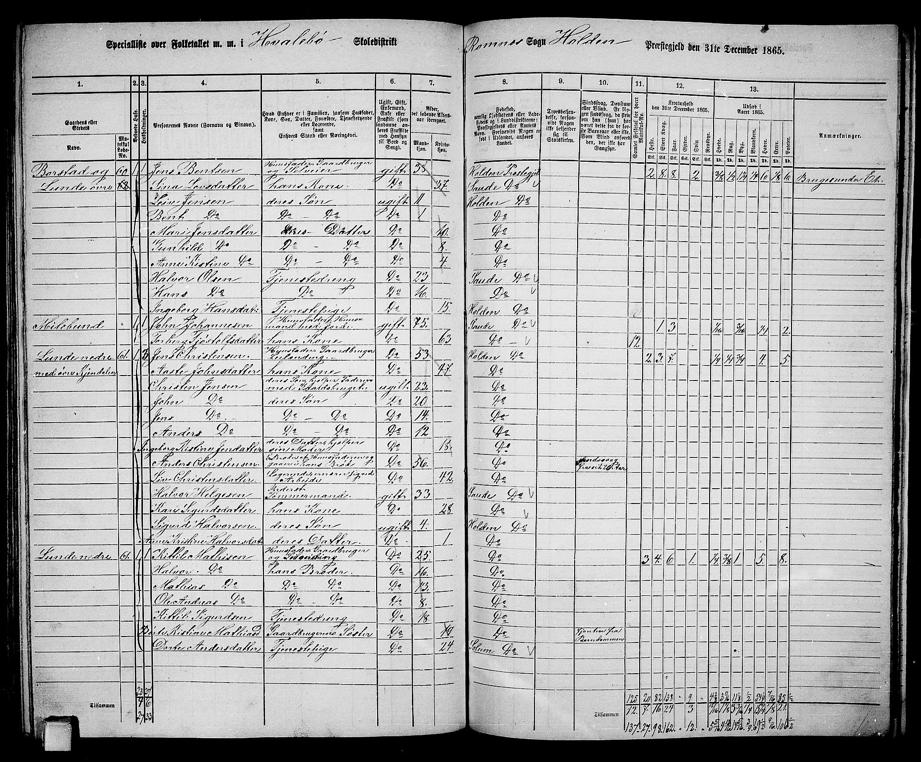 RA, 1865 census for Holla, 1865, p. 125