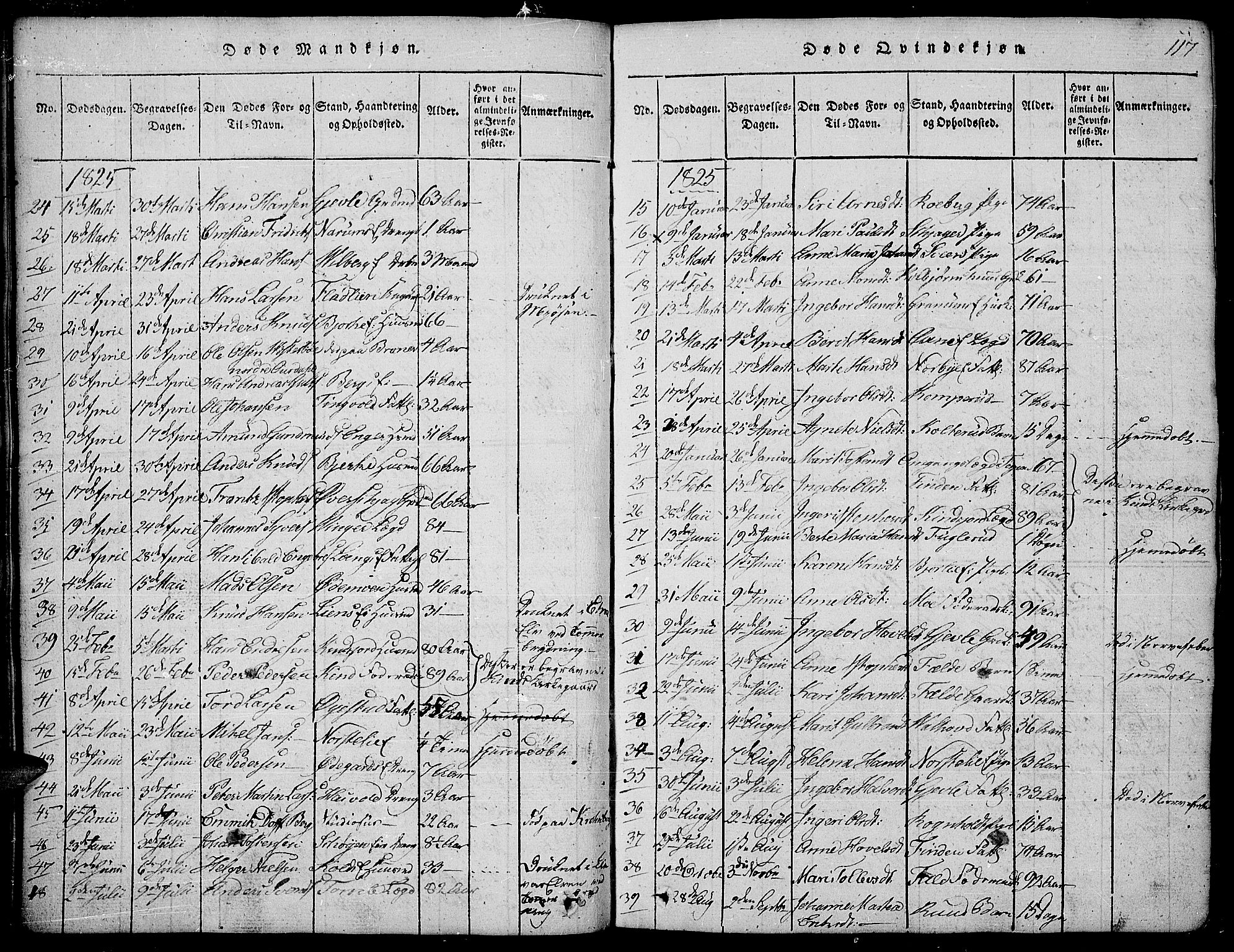 Land prestekontor, AV/SAH-PREST-120/H/Ha/Hab/L0001: Parish register (copy) no. 1, 1814-1833, p. 117