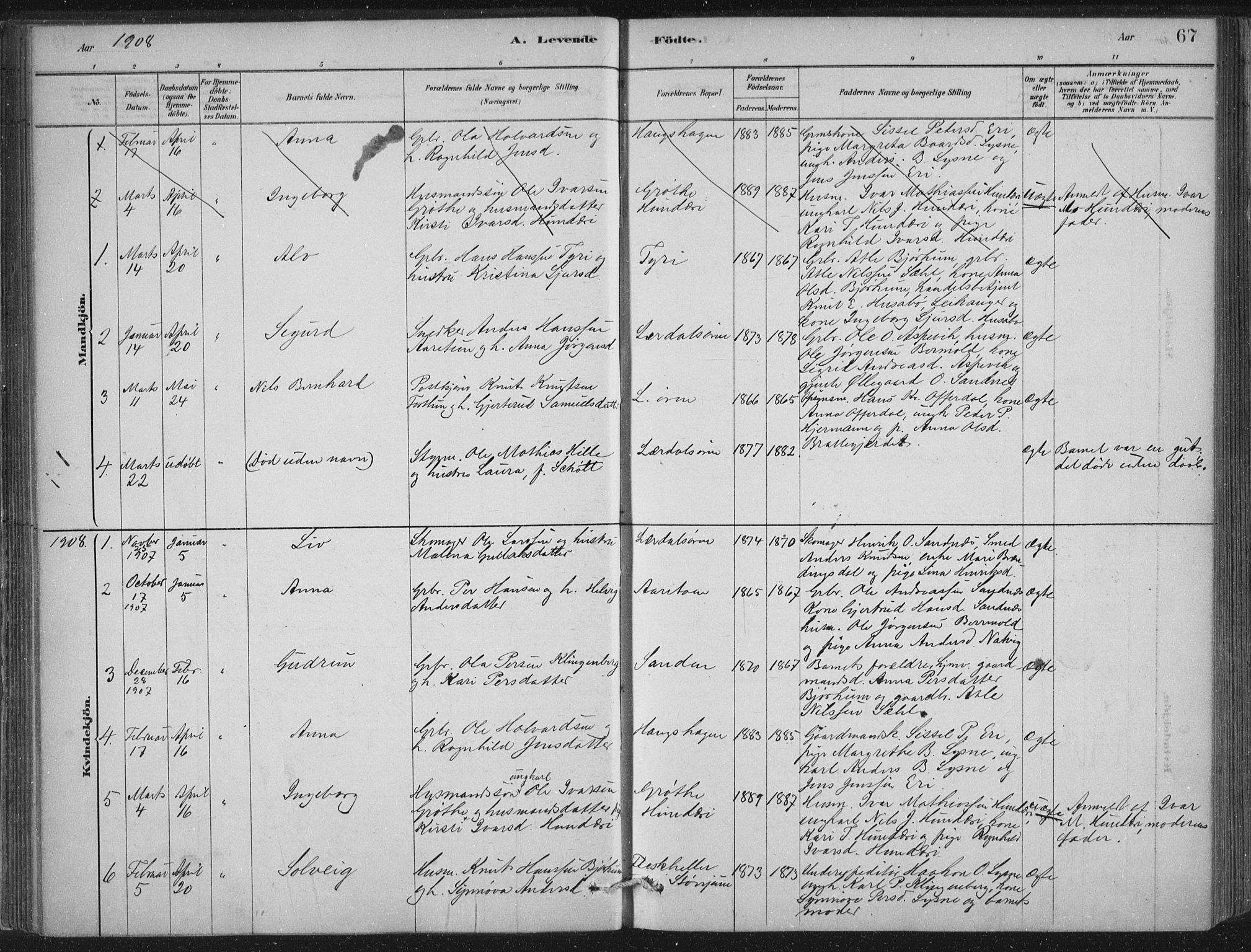Lærdal sokneprestembete, SAB/A-81201: Parish register (official) no. D  1, 1878-1908, p. 67
