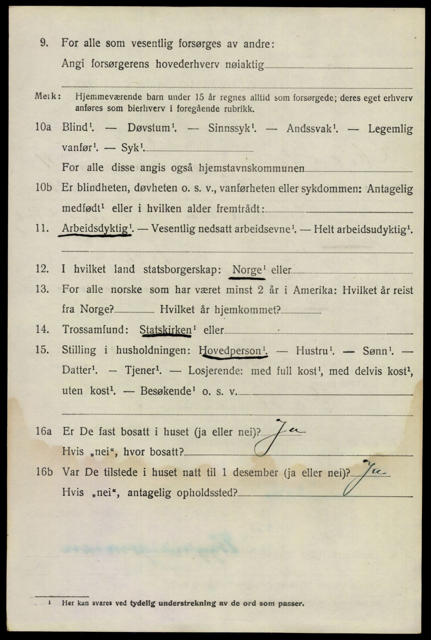 SAO, 1920 census for Nes, 1920, p. 11945