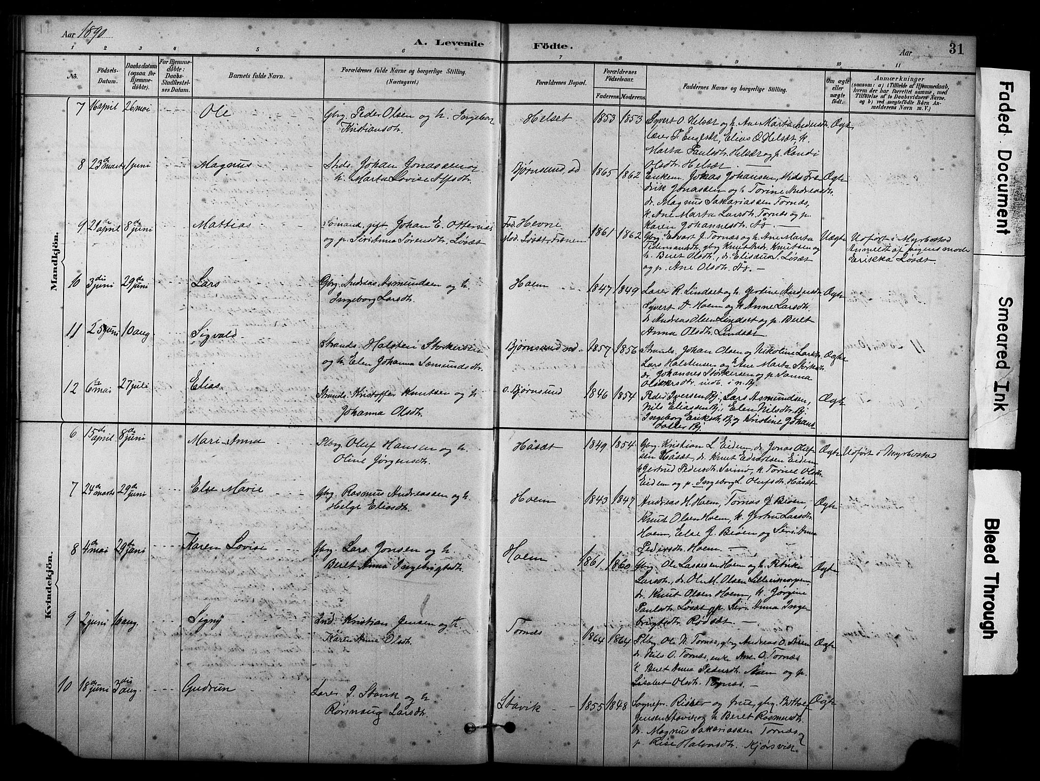 Ministerialprotokoller, klokkerbøker og fødselsregistre - Møre og Romsdal, SAT/A-1454/565/L0755: Parish register (copy) no. 565C04, 1883-1903, p. 31
