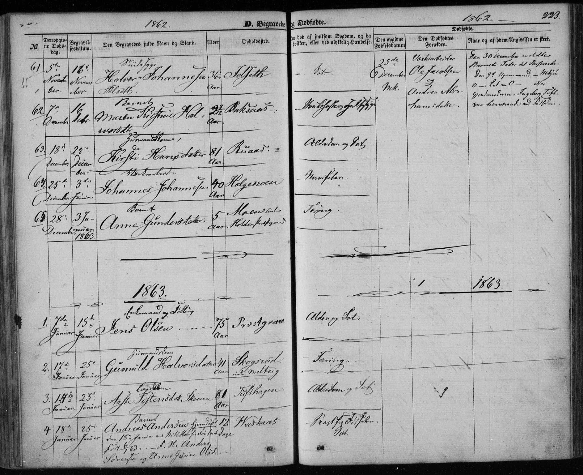 Holla kirkebøker, AV/SAKO-A-272/F/Fa/L0006: Parish register (official) no. 6, 1861-1869, p. 223