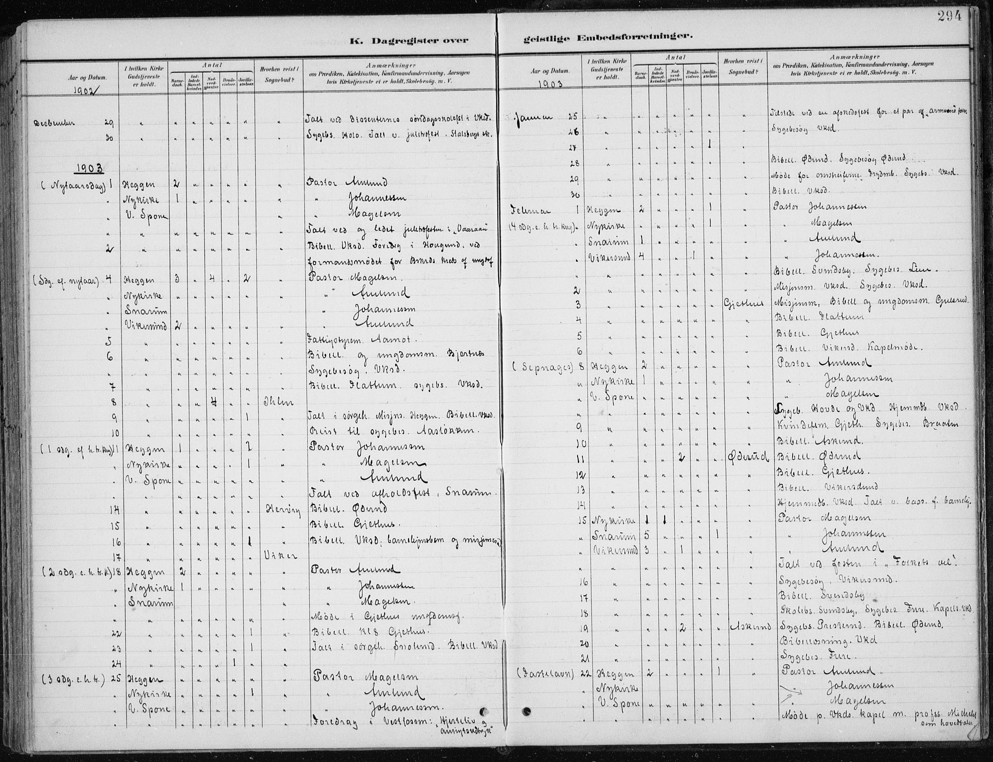 Modum kirkebøker, AV/SAKO-A-234/F/Fa/L0013: Parish register (official) no. 13, 1899-1907, p. 294