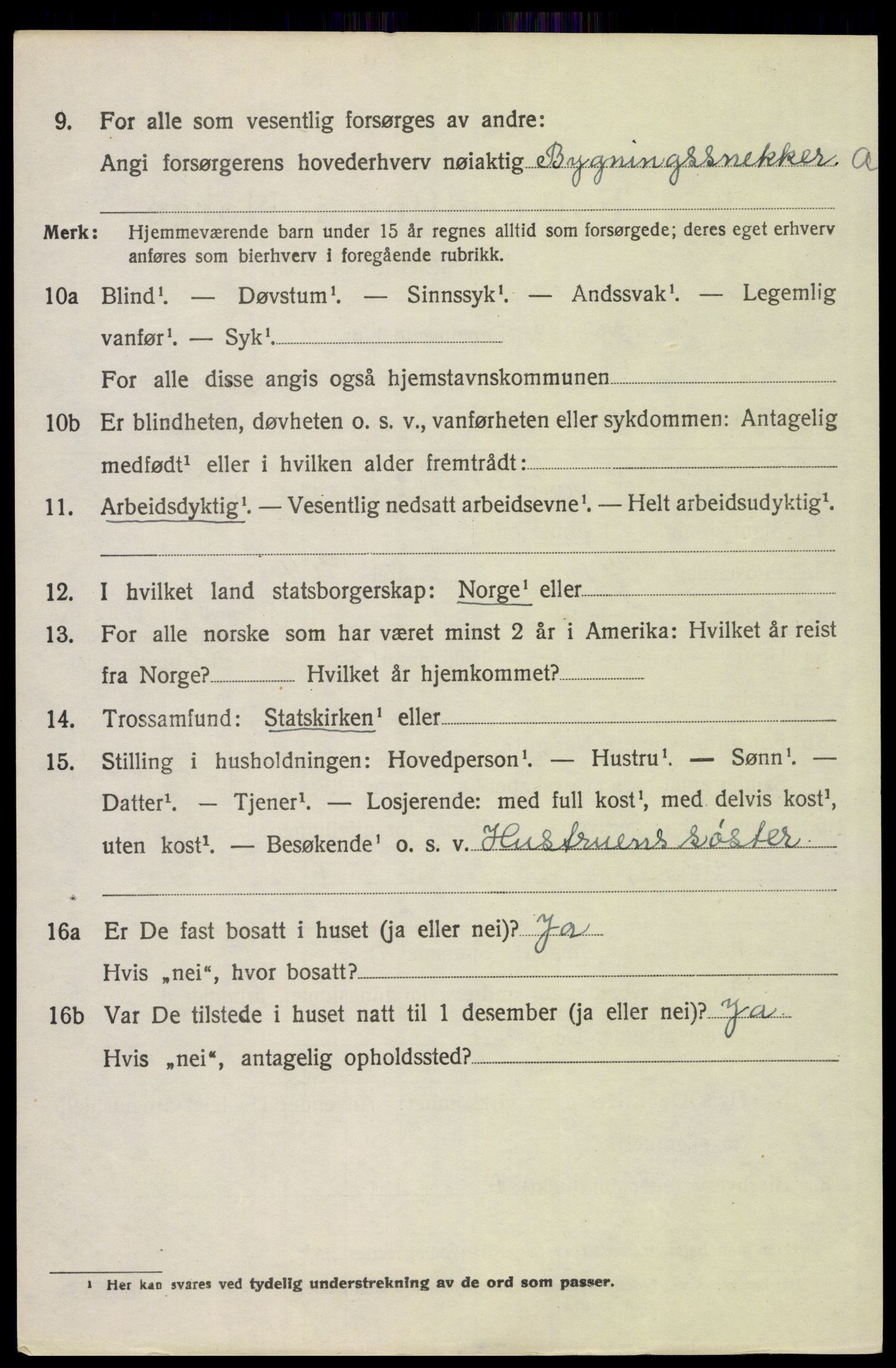 SAH, 1920 census for Åsnes, 1920, p. 5035