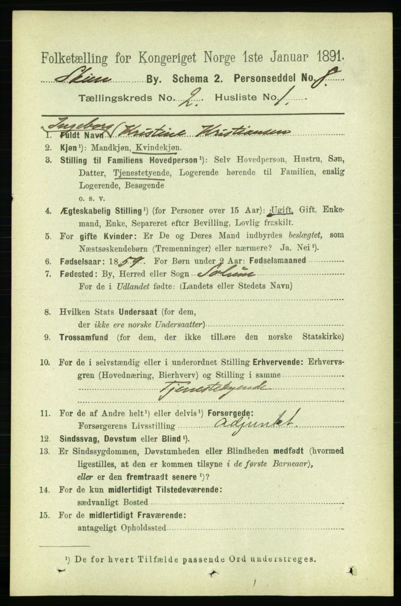 RA, 1891 census for 0806 Skien, 1891, p. 2316