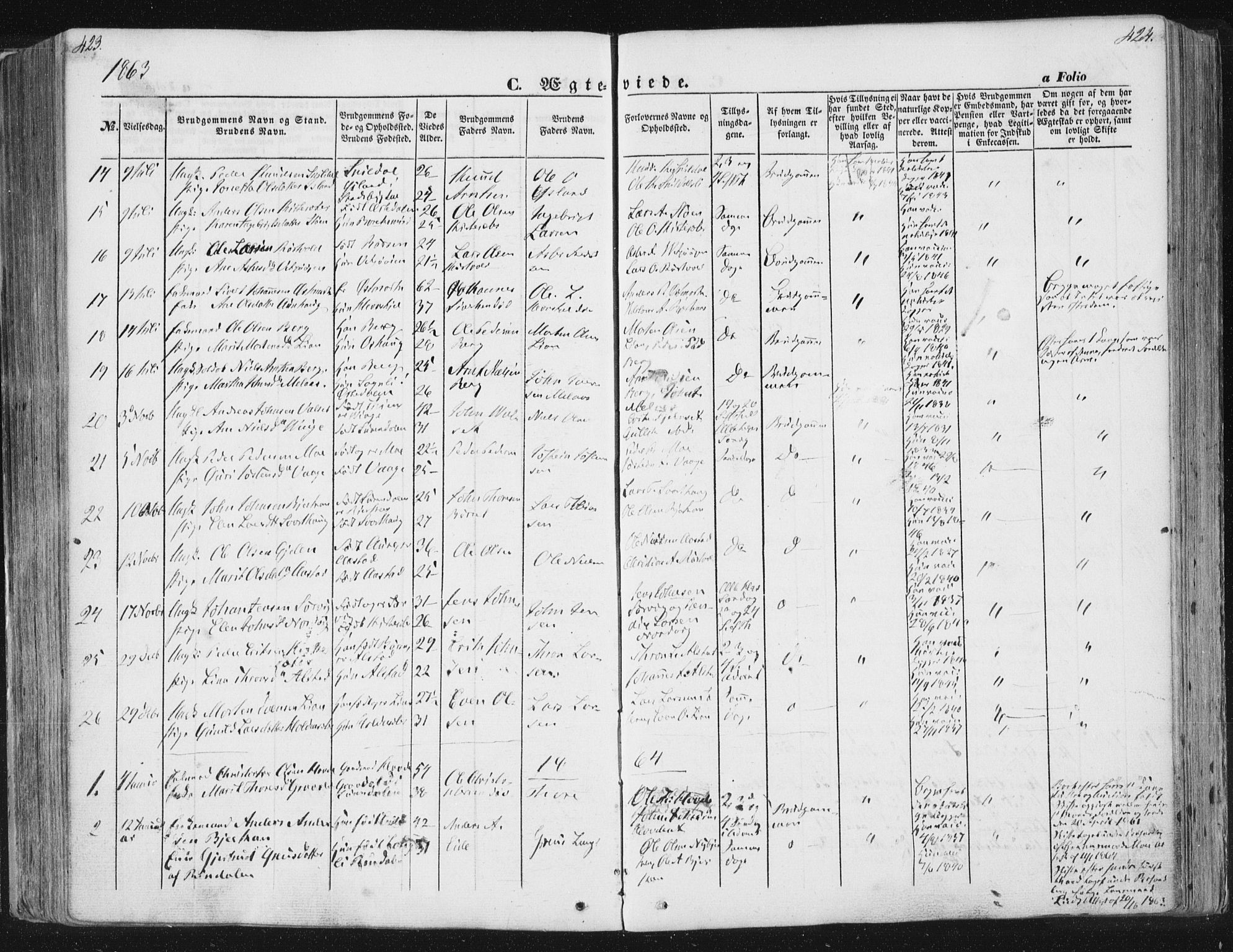 Ministerialprotokoller, klokkerbøker og fødselsregistre - Sør-Trøndelag, SAT/A-1456/630/L0494: Parish register (official) no. 630A07, 1852-1868, p. 423-424