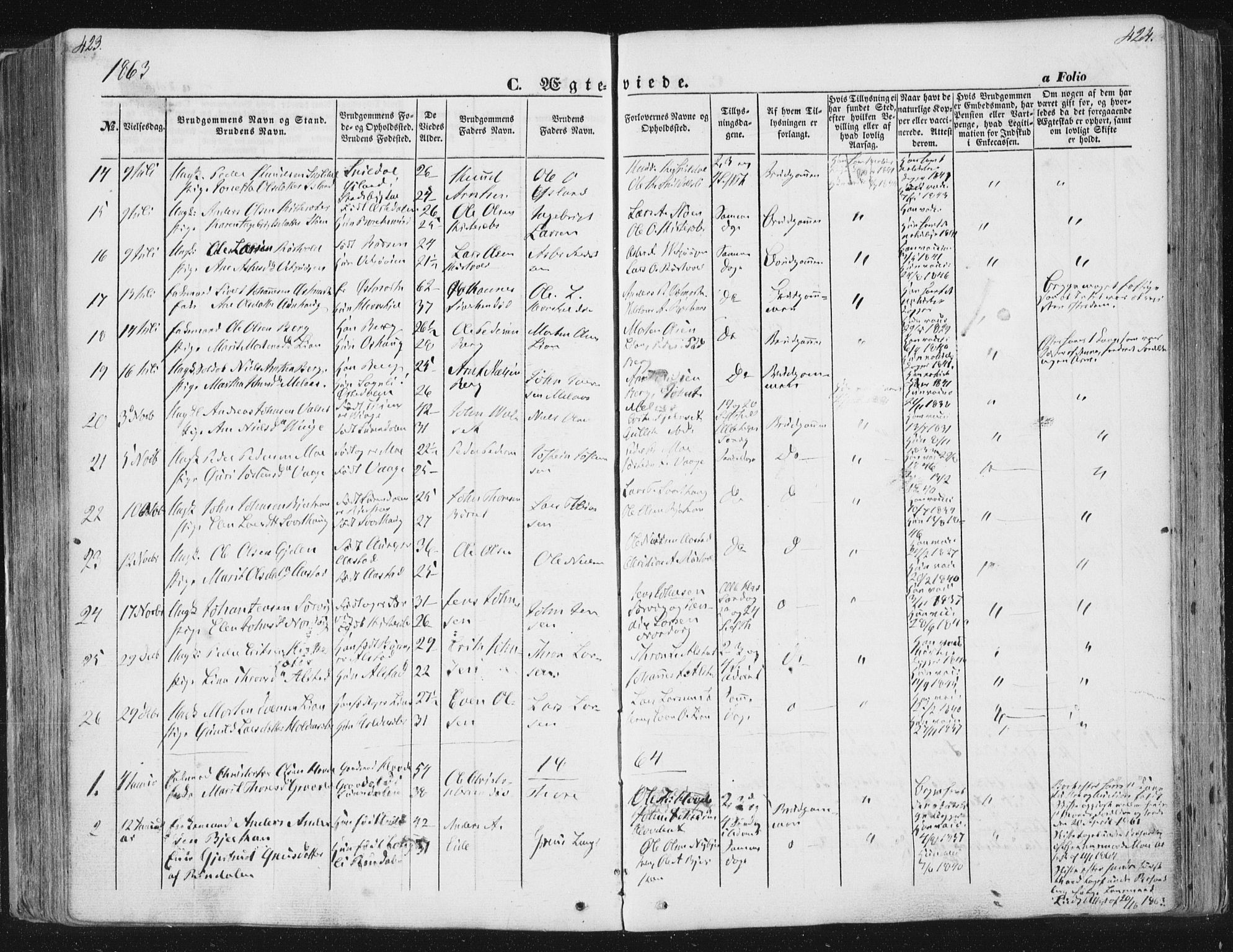 Ministerialprotokoller, klokkerbøker og fødselsregistre - Sør-Trøndelag, AV/SAT-A-1456/630/L0494: Parish register (official) no. 630A07, 1852-1868, p. 423-424