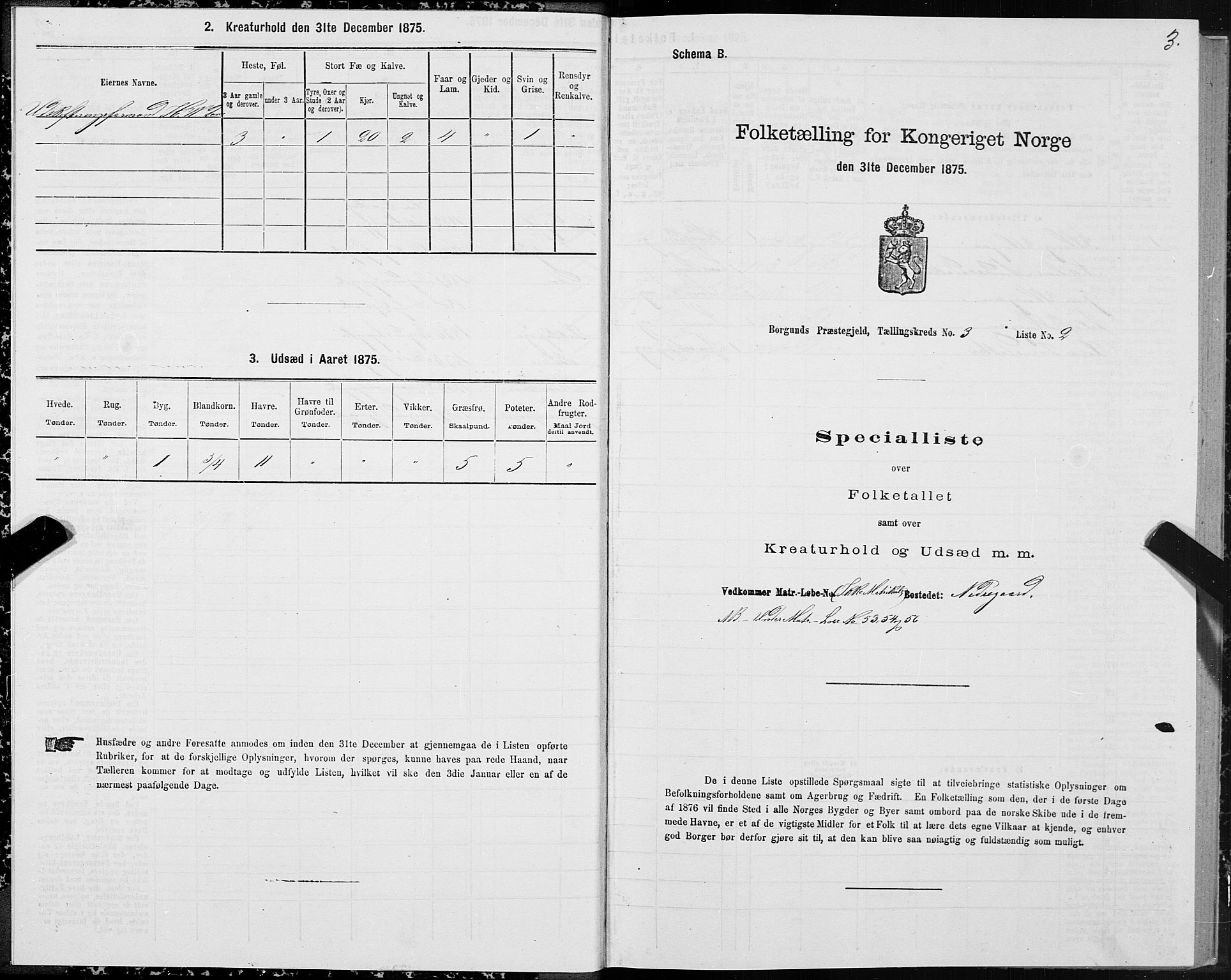 SAT, 1875 census for 1531P Borgund, 1875, p. 2003