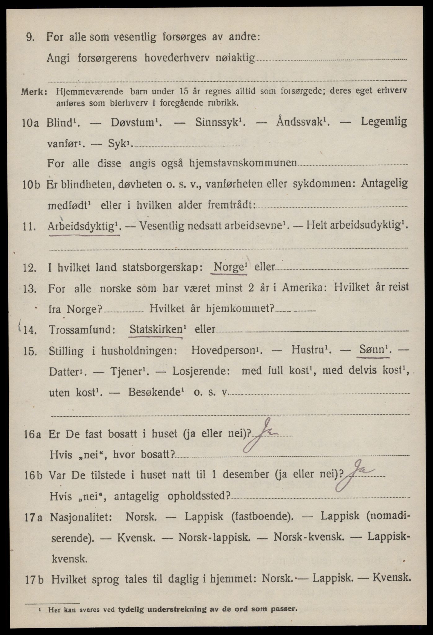 SAT, 1920 census for Selbu, 1920, p. 9433