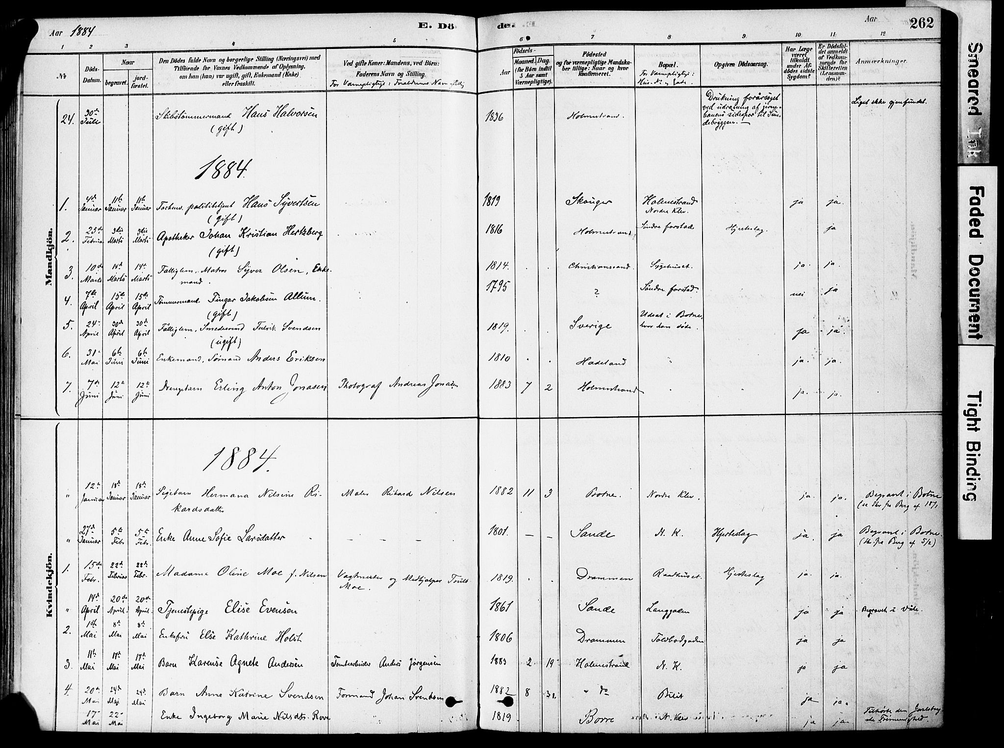 Holmestrand kirkebøker, AV/SAKO-A-346/F/Fa/L0004: Parish register (official) no. 4, 1880-1901, p. 262