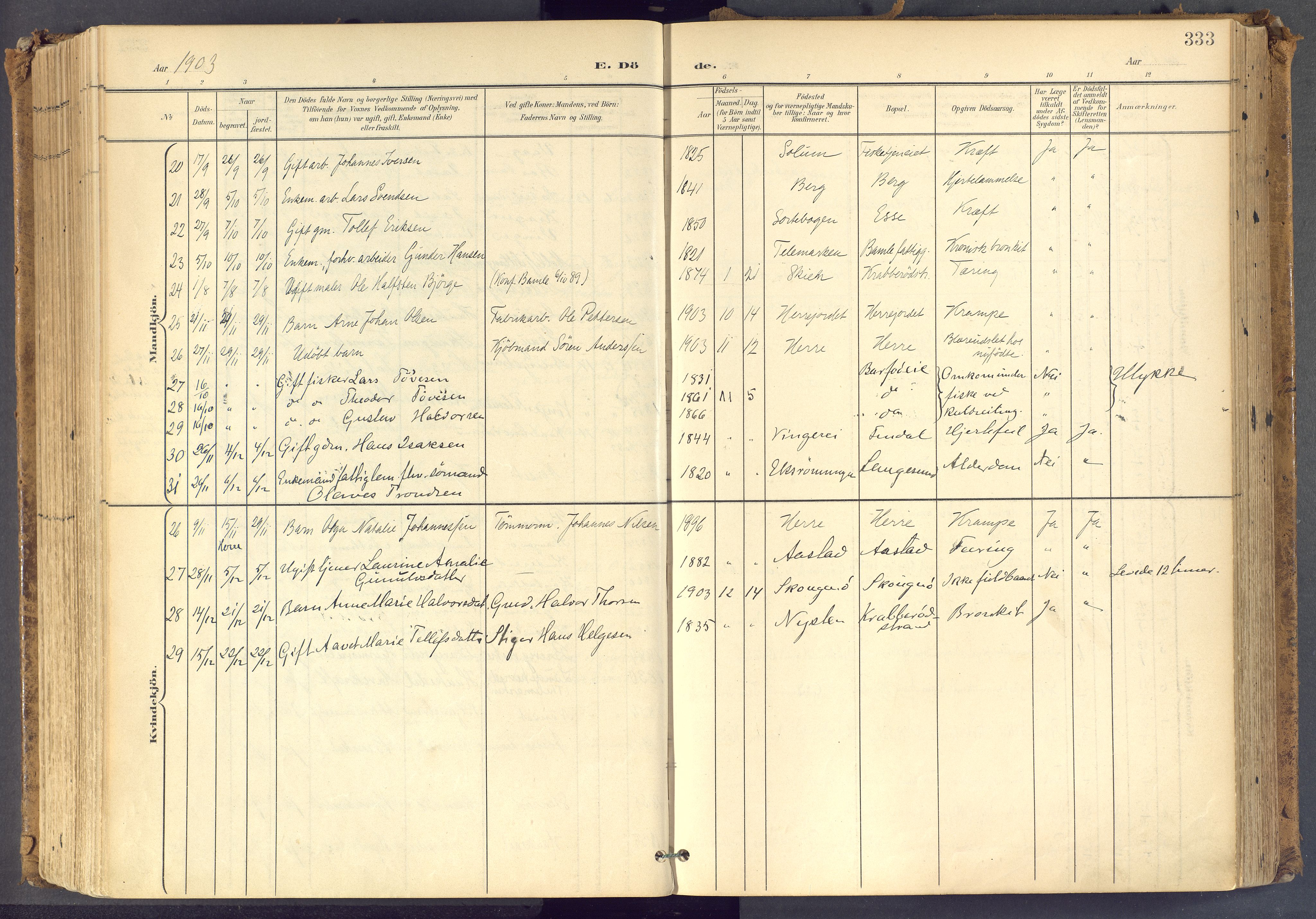 Bamble kirkebøker, SAKO/A-253/F/Fa/L0009: Parish register (official) no. I 9, 1901-1917, p. 333