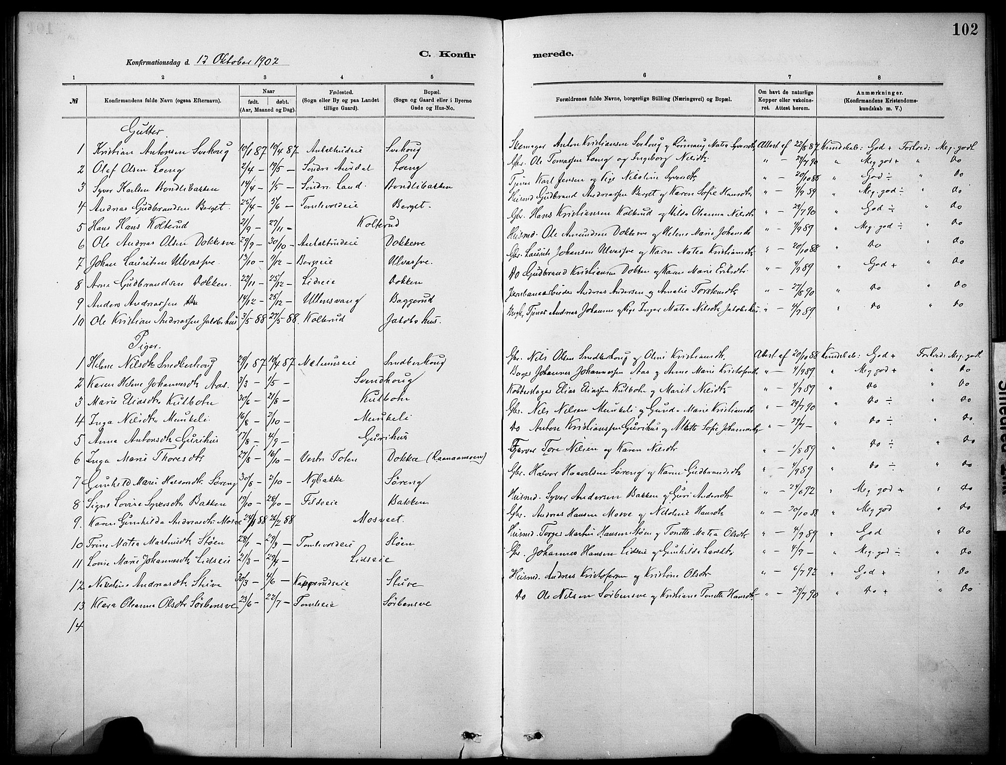 Nordre Land prestekontor, SAH/PREST-124/H/Ha/Haa/L0005: Parish register (official) no. 5, 1882-1903, p. 102