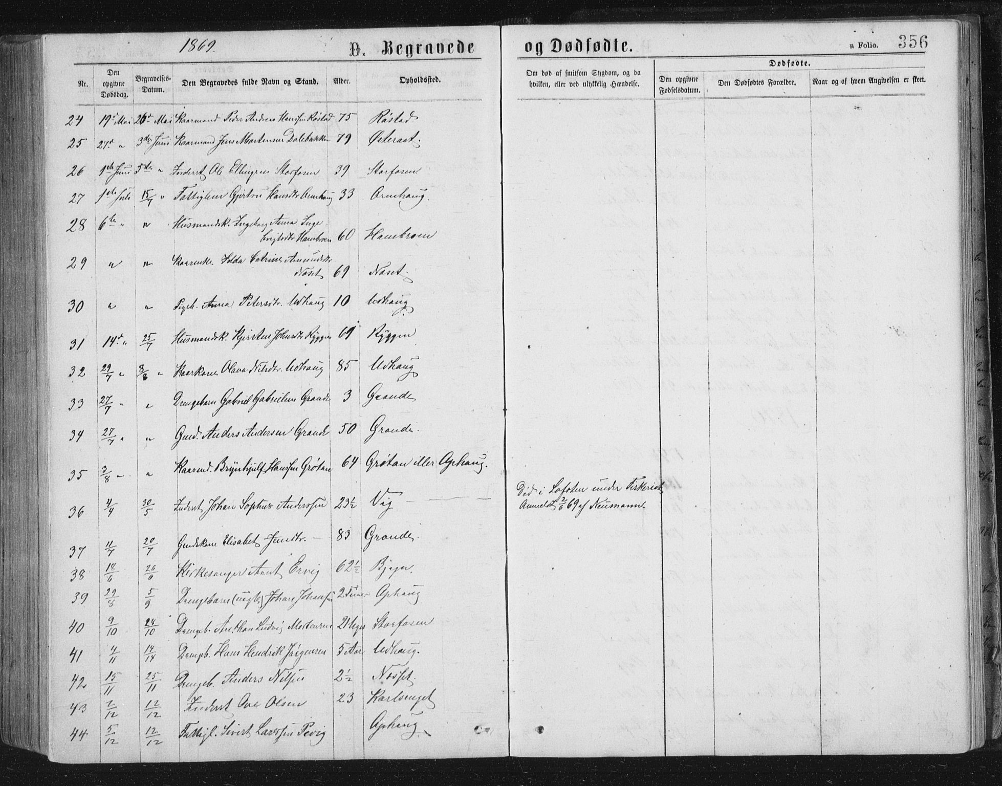 Ministerialprotokoller, klokkerbøker og fødselsregistre - Sør-Trøndelag, AV/SAT-A-1456/659/L0745: Parish register (copy) no. 659C02, 1869-1892, p. 356