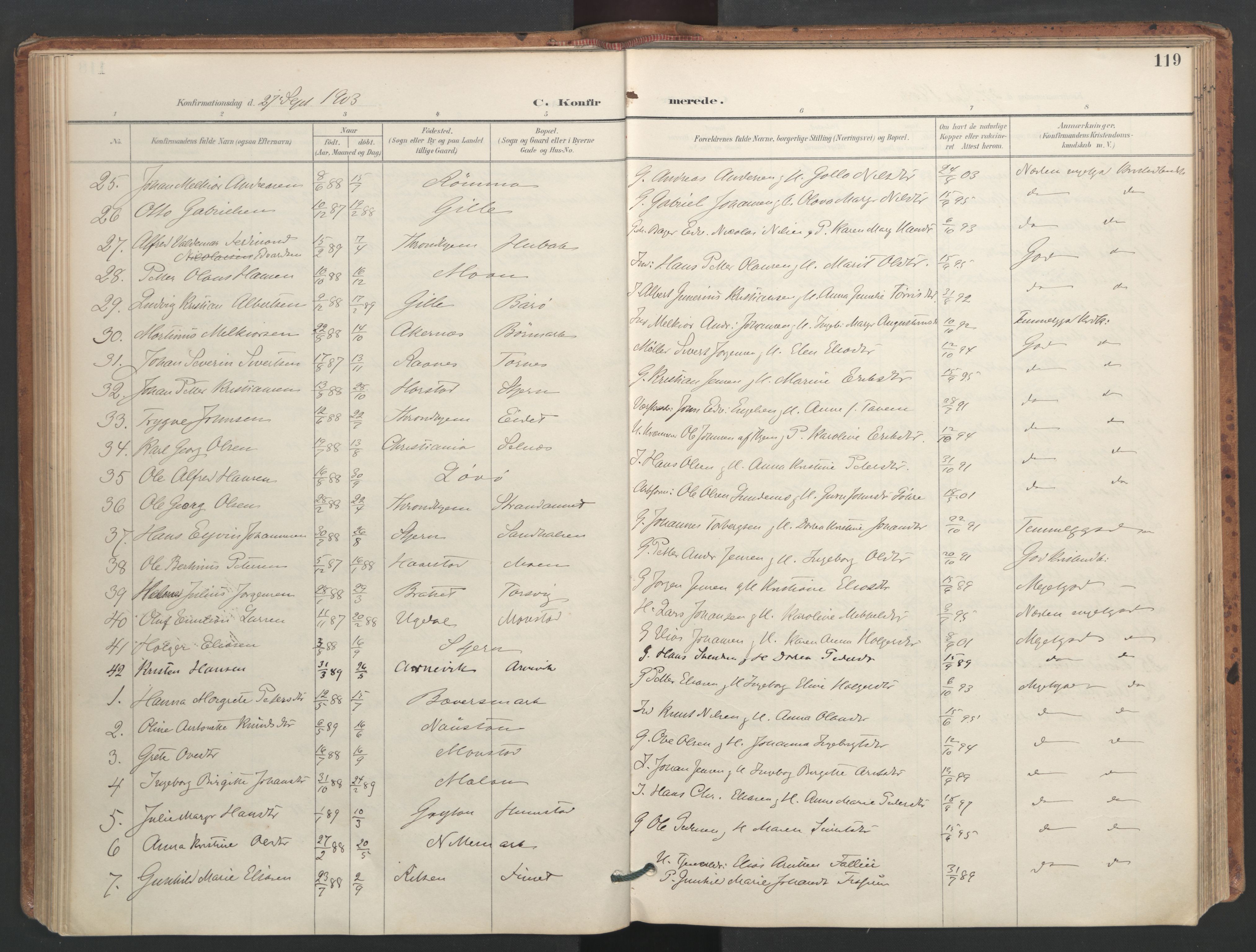 Ministerialprotokoller, klokkerbøker og fødselsregistre - Sør-Trøndelag, SAT/A-1456/655/L0681: Parish register (official) no. 655A10, 1895-1907, p. 119
