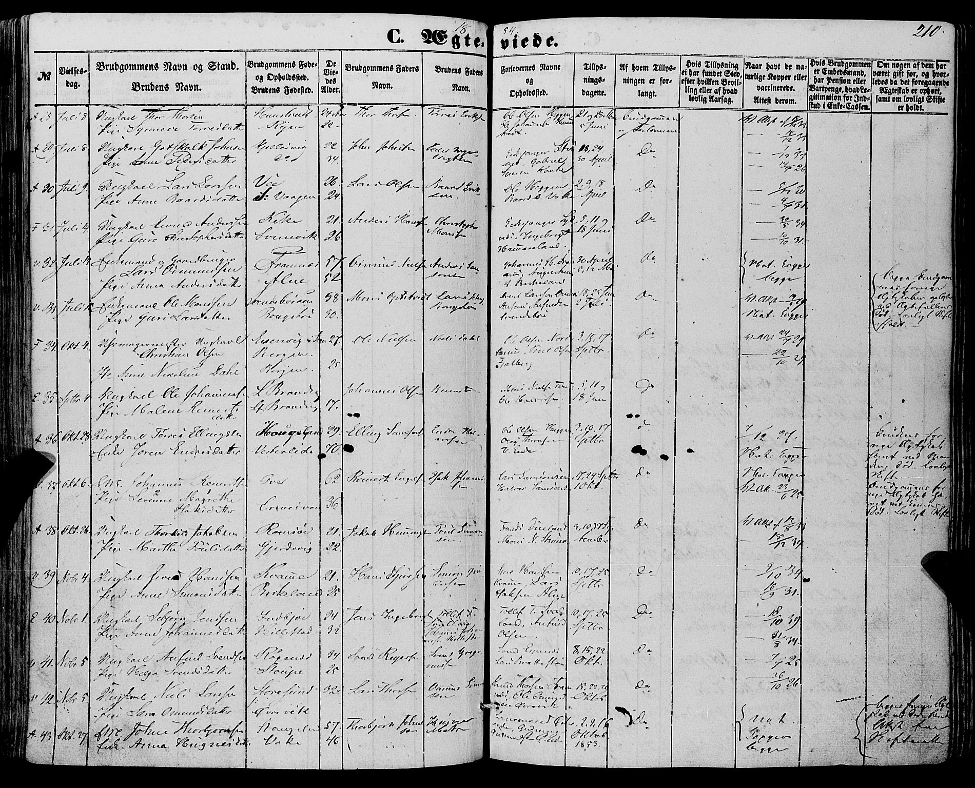 Fjelberg sokneprestembete, SAB/A-75201/H/Haa: Parish register (official) no. A 7, 1851-1867, p. 210