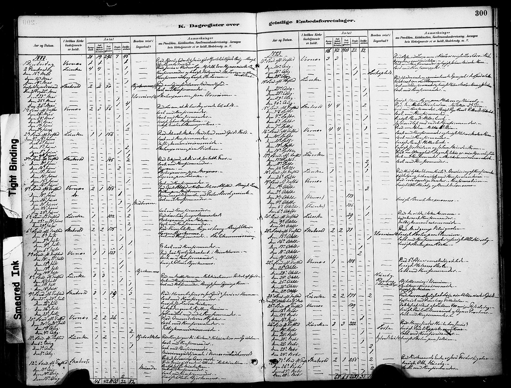 Ministerialprotokoller, klokkerbøker og fødselsregistre - Nord-Trøndelag, SAT/A-1458/709/L0077: Parish register (official) no. 709A17, 1880-1895, p. 300