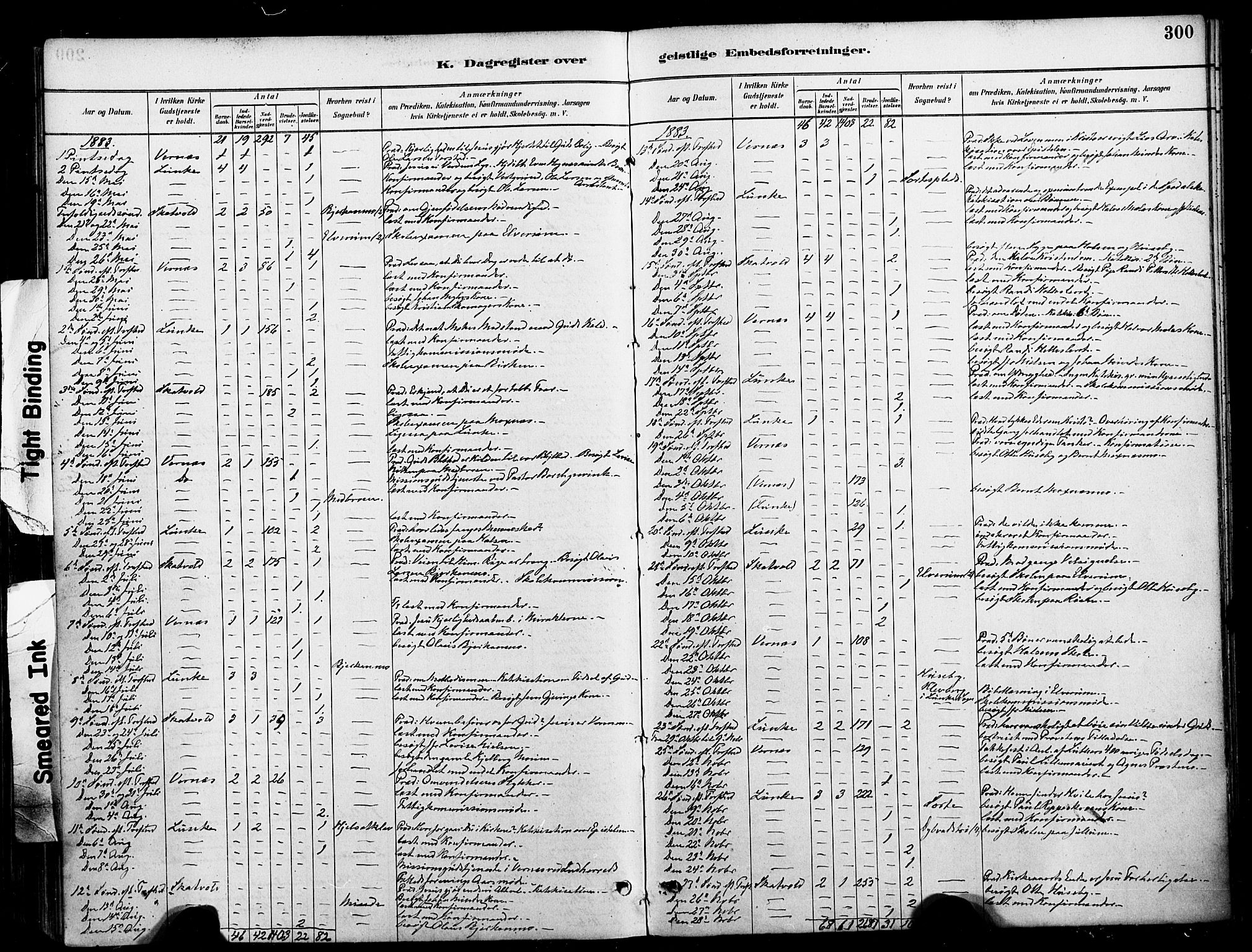 Ministerialprotokoller, klokkerbøker og fødselsregistre - Nord-Trøndelag, AV/SAT-A-1458/709/L0077: Parish register (official) no. 709A17, 1880-1895, p. 300