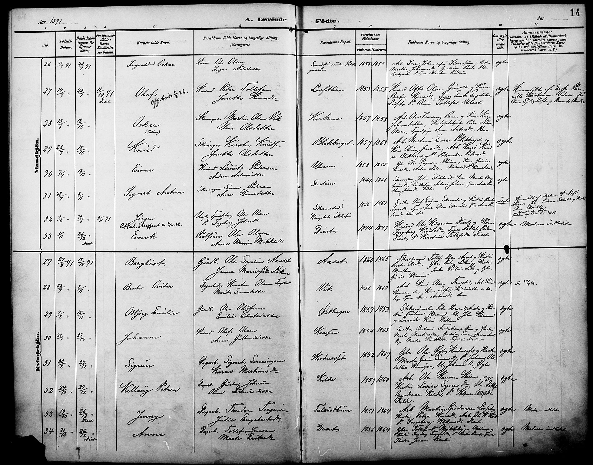 Åmot prestekontor, Hedmark, AV/SAH-PREST-056/H/Ha/Haa/L0011: Parish register (official) no. 11, 1890-1897, p. 14