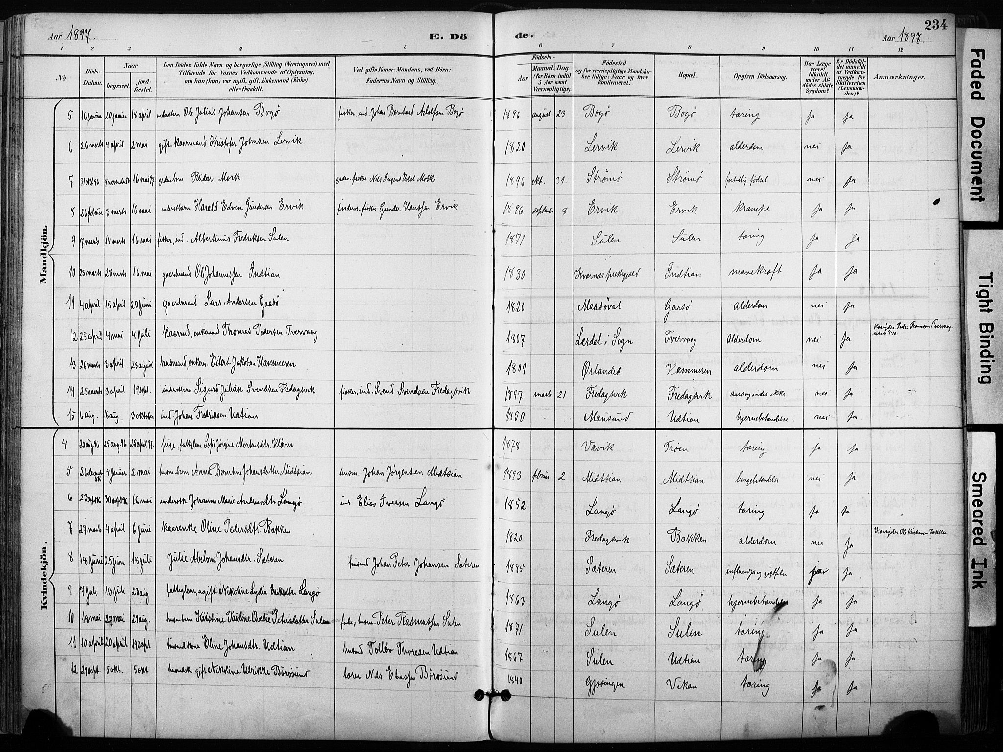 Ministerialprotokoller, klokkerbøker og fødselsregistre - Sør-Trøndelag, SAT/A-1456/640/L0579: Parish register (official) no. 640A04, 1889-1902, p. 234