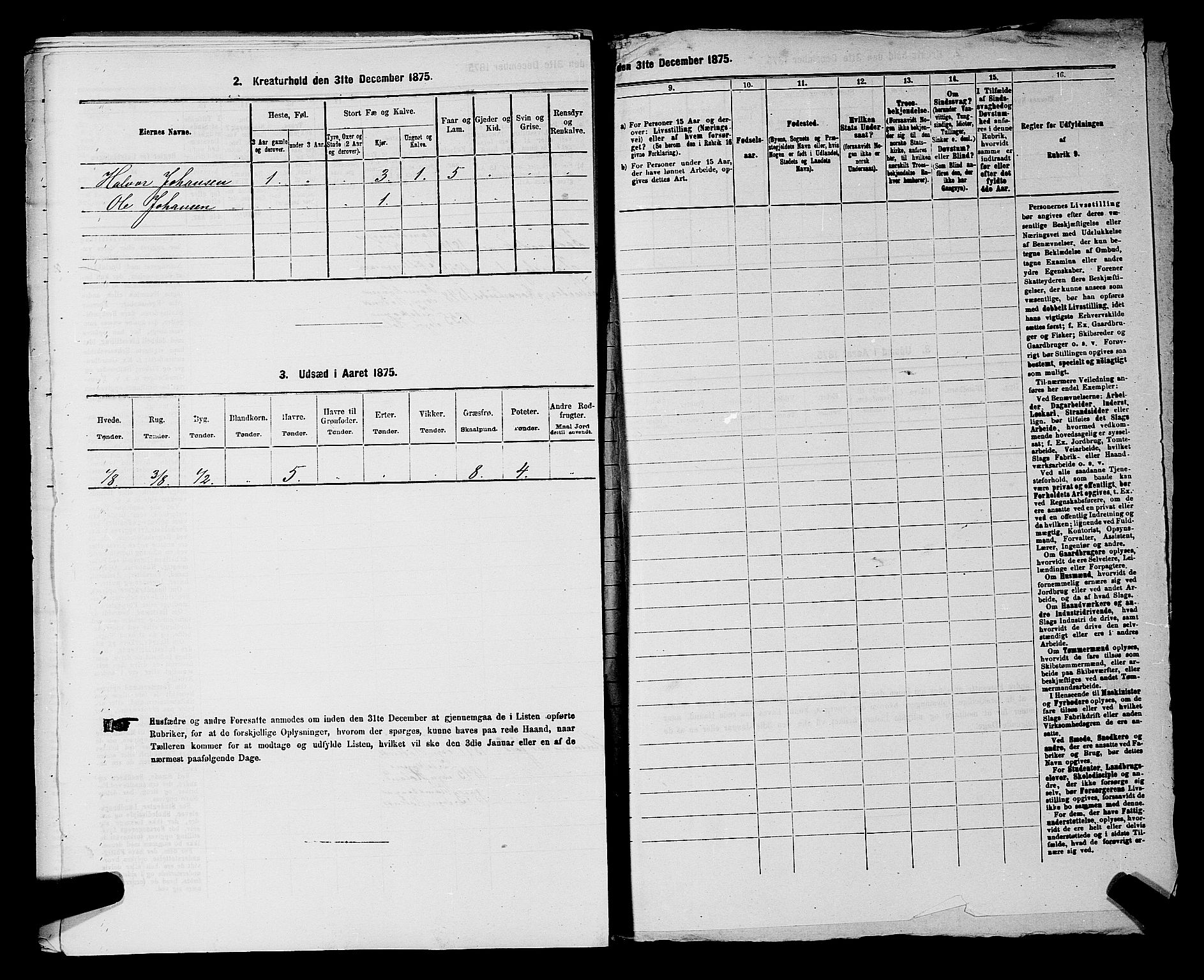 RA, 1875 census for 0120P Rødenes, 1875, p. 796