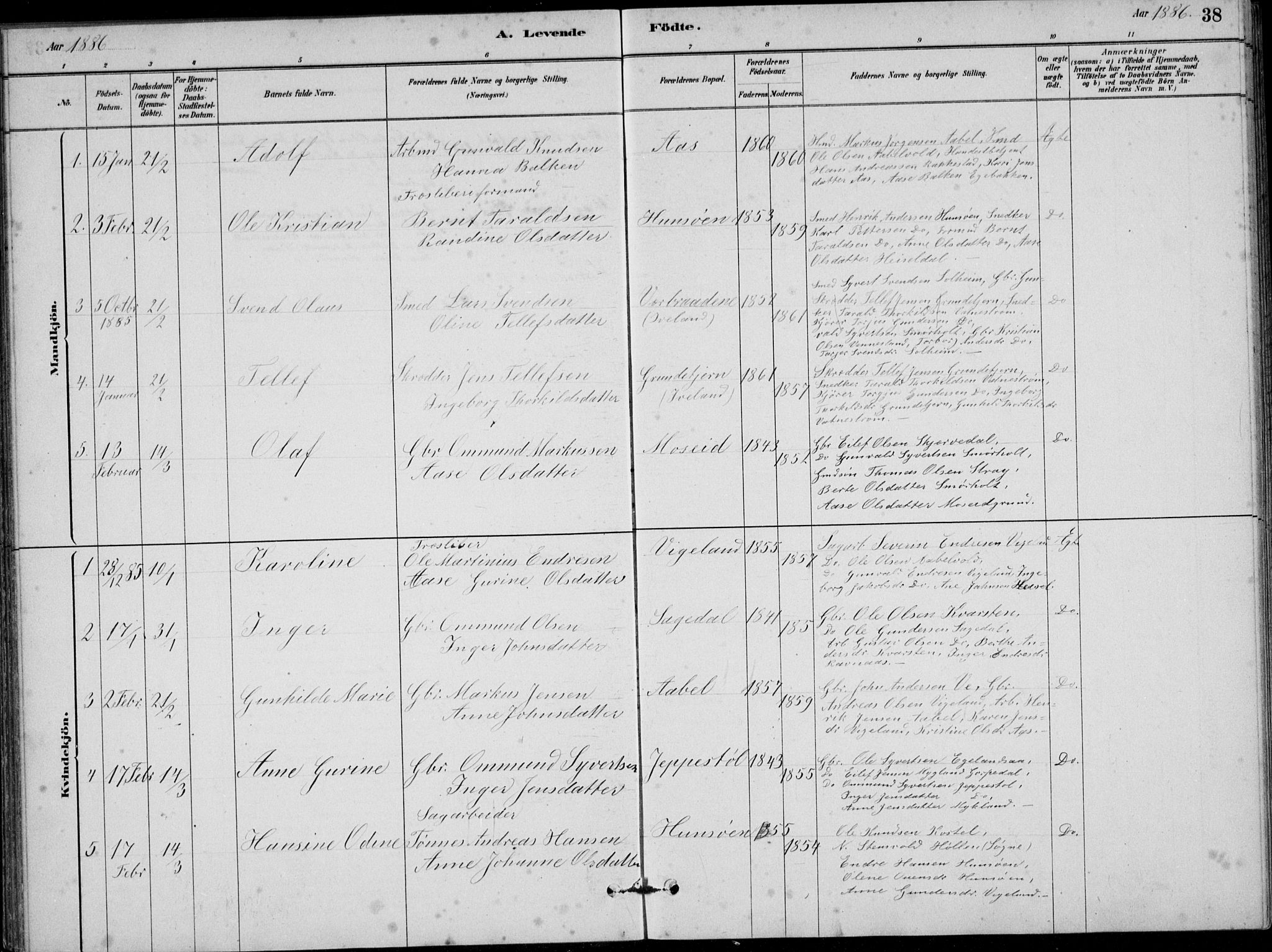 Vennesla sokneprestkontor, SAK/1111-0045/Fb/Fbb/L0003: Parish register (copy) no. B 3, 1879-1893, p. 38
