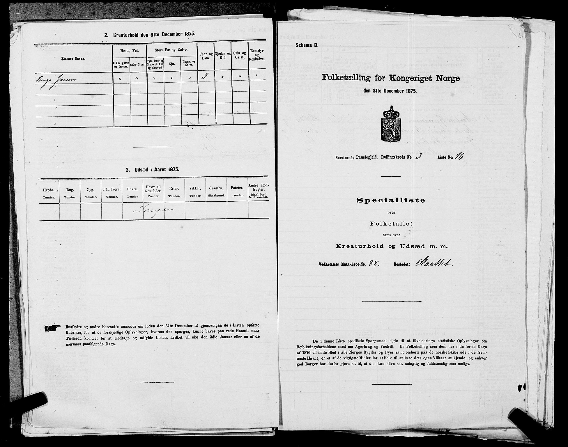 SAST, 1875 census for 1139P Nedstrand, 1875, p. 541